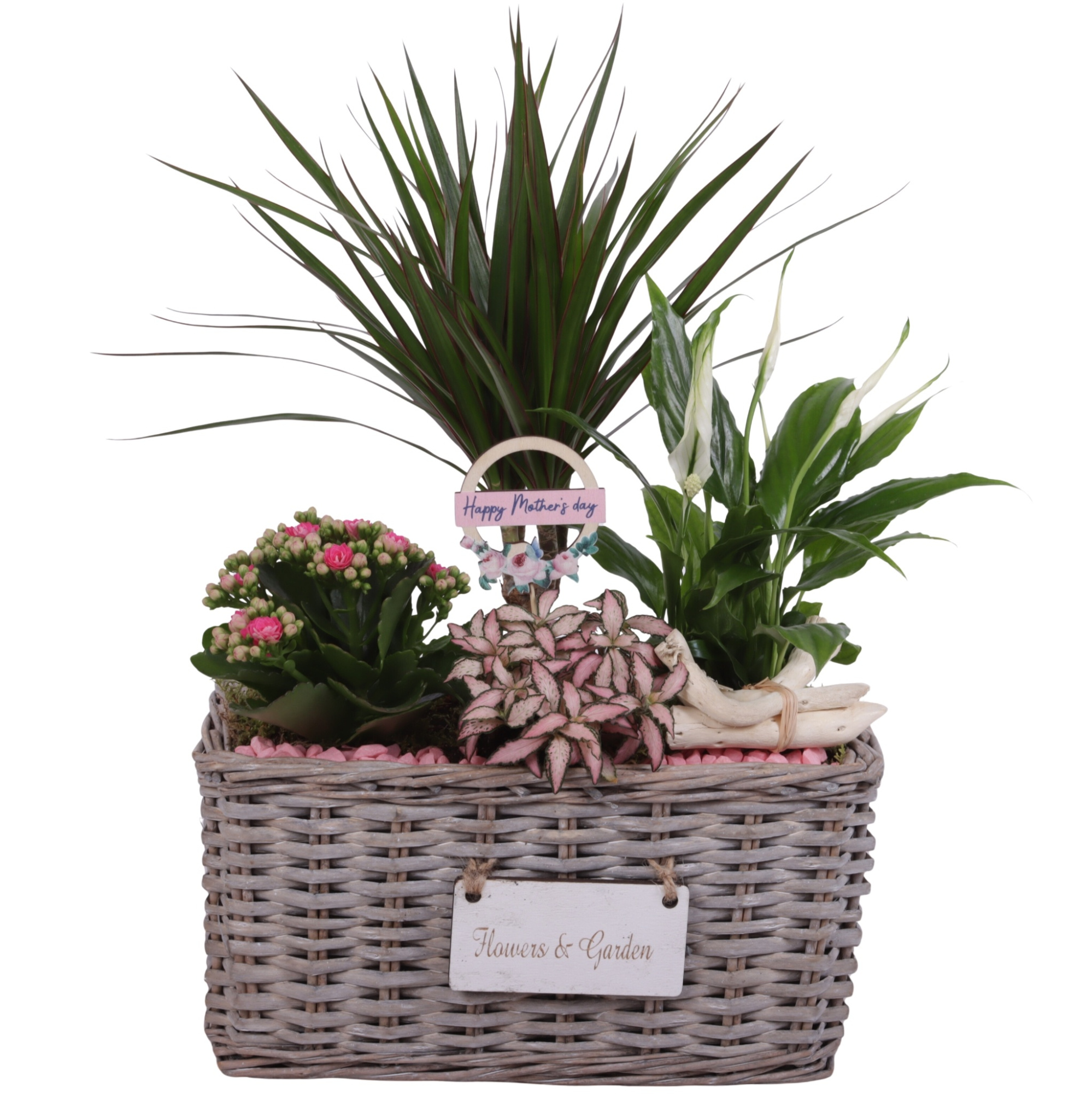 Mothersday Arr. Indoor Willow Basket Flowersign Ø30cm 4PP, D 30