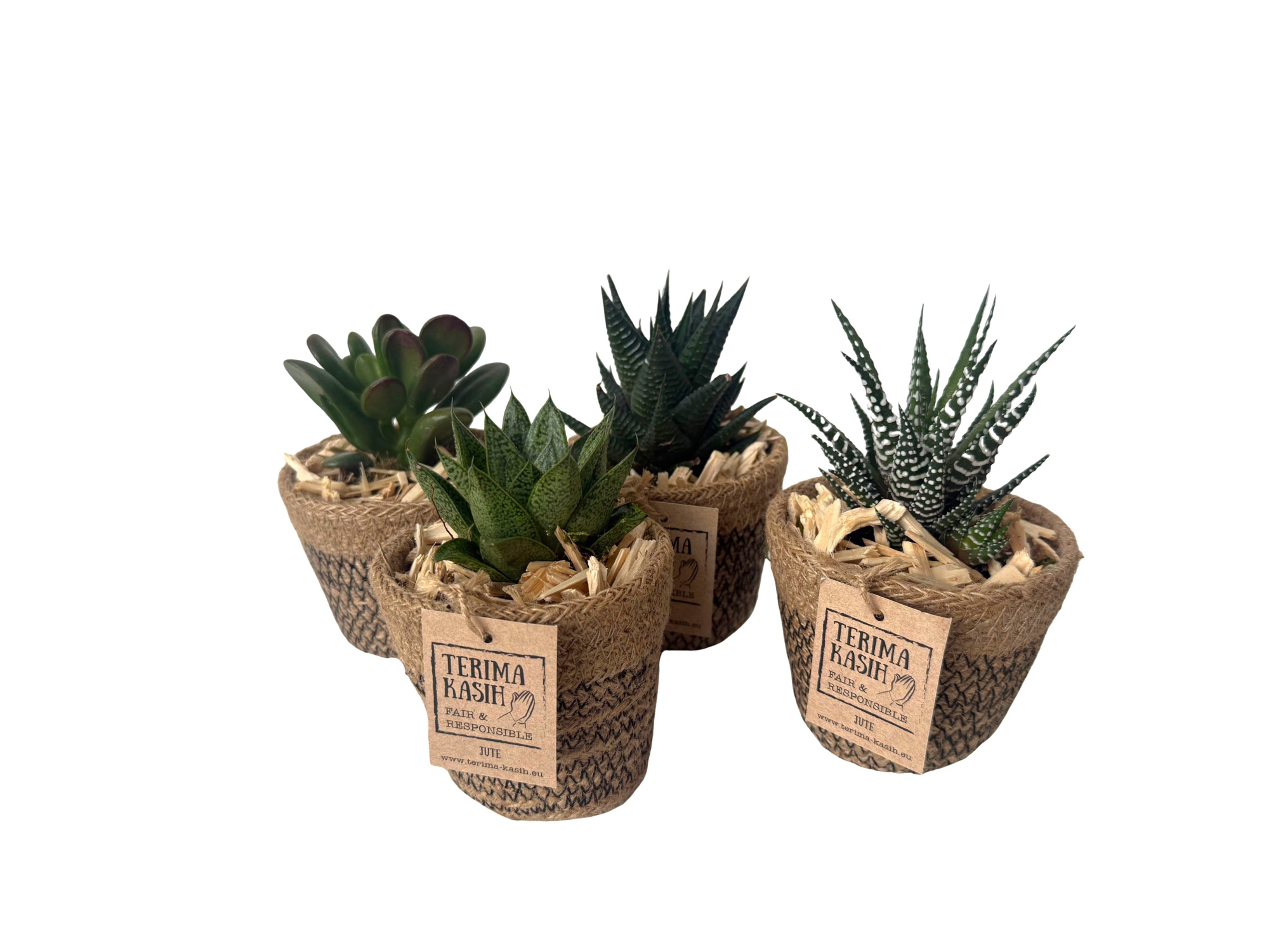 JM8SUC mini Jute Mandje Succulentmix 8cm, D 8 cm