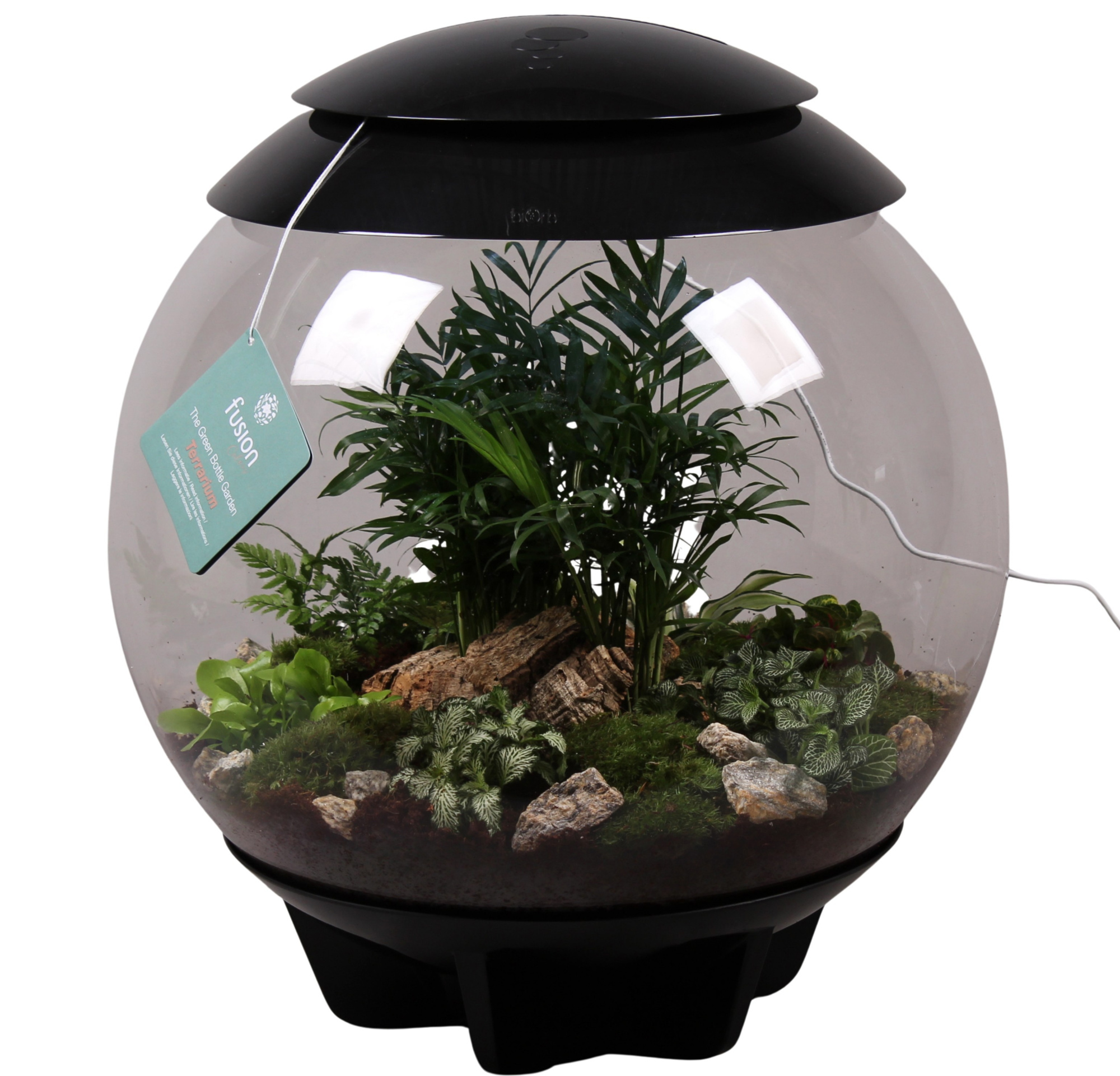 Terrarium XXL Exclusive zwart met arrangement, D 45