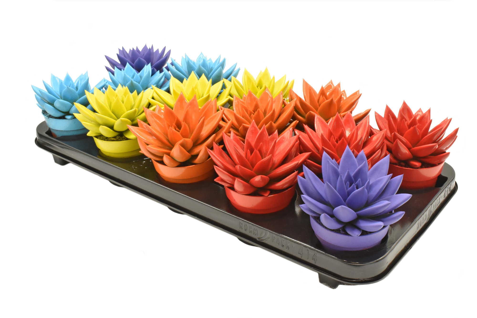 Miranda coloured mix, D 8,5 cm