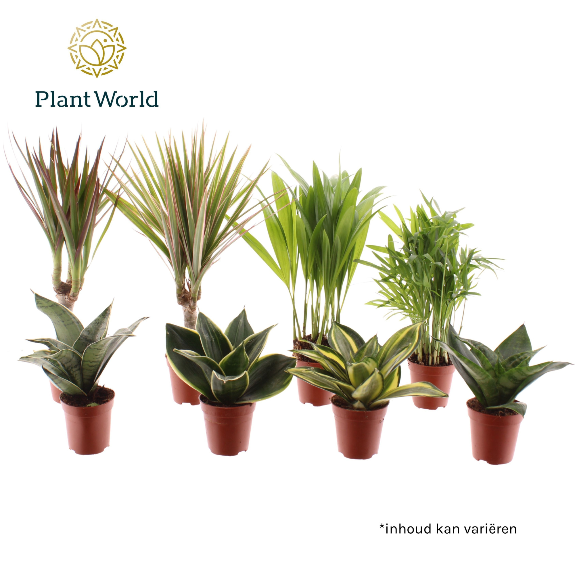 Tiny Happy Family luxe mix 6-7 soorten, D 5,5