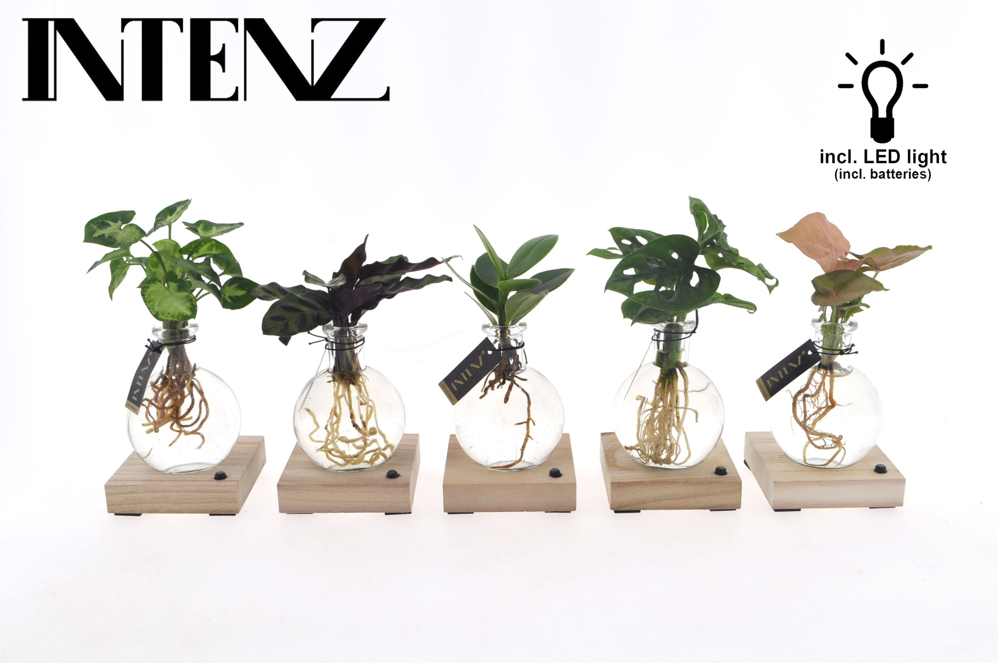 Mix in Samoa glas + LED - levertijd: 24 uur, D 7 cm