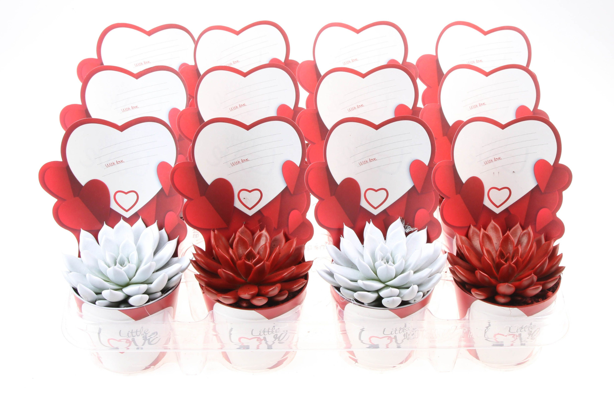 Potcover little love red/white, D 8,5 cm