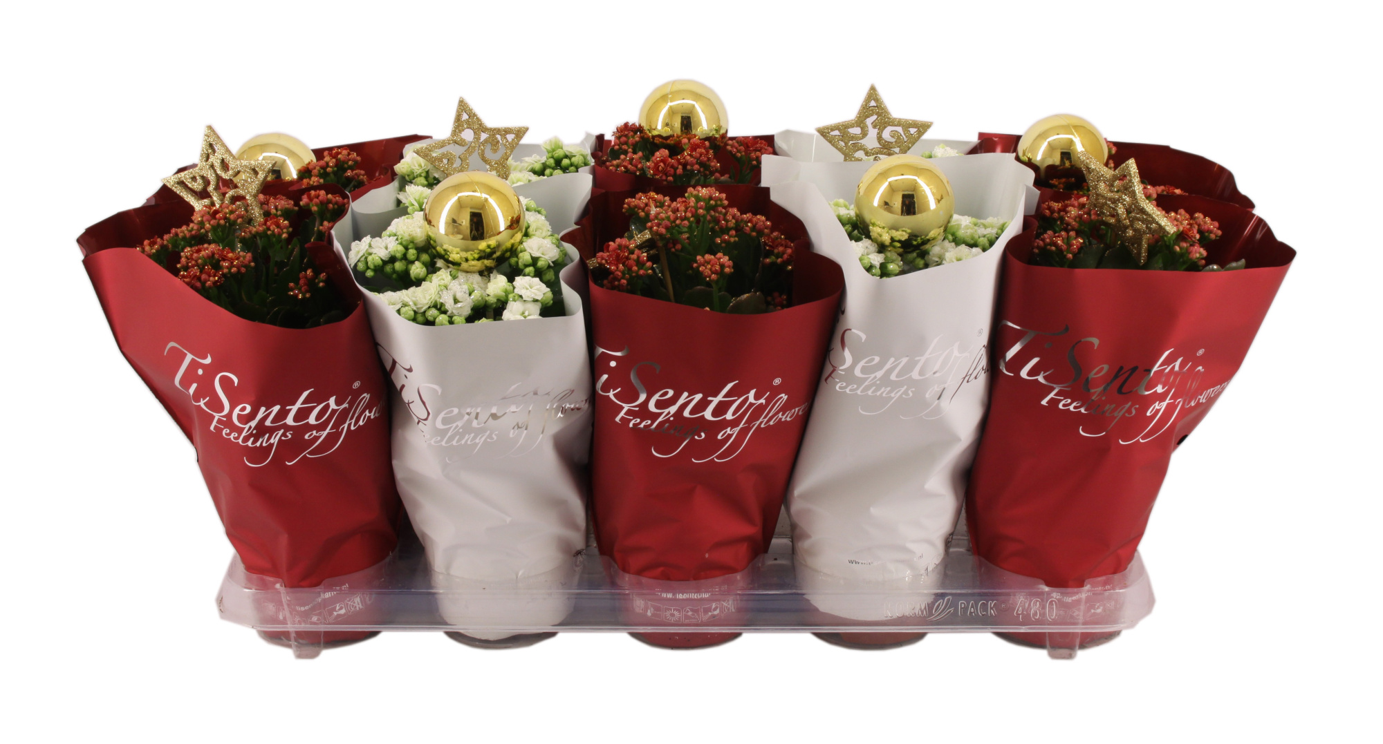 Calandiva 12 cm Kerstmix Rood/Wit + Glitter + Steker, D 12