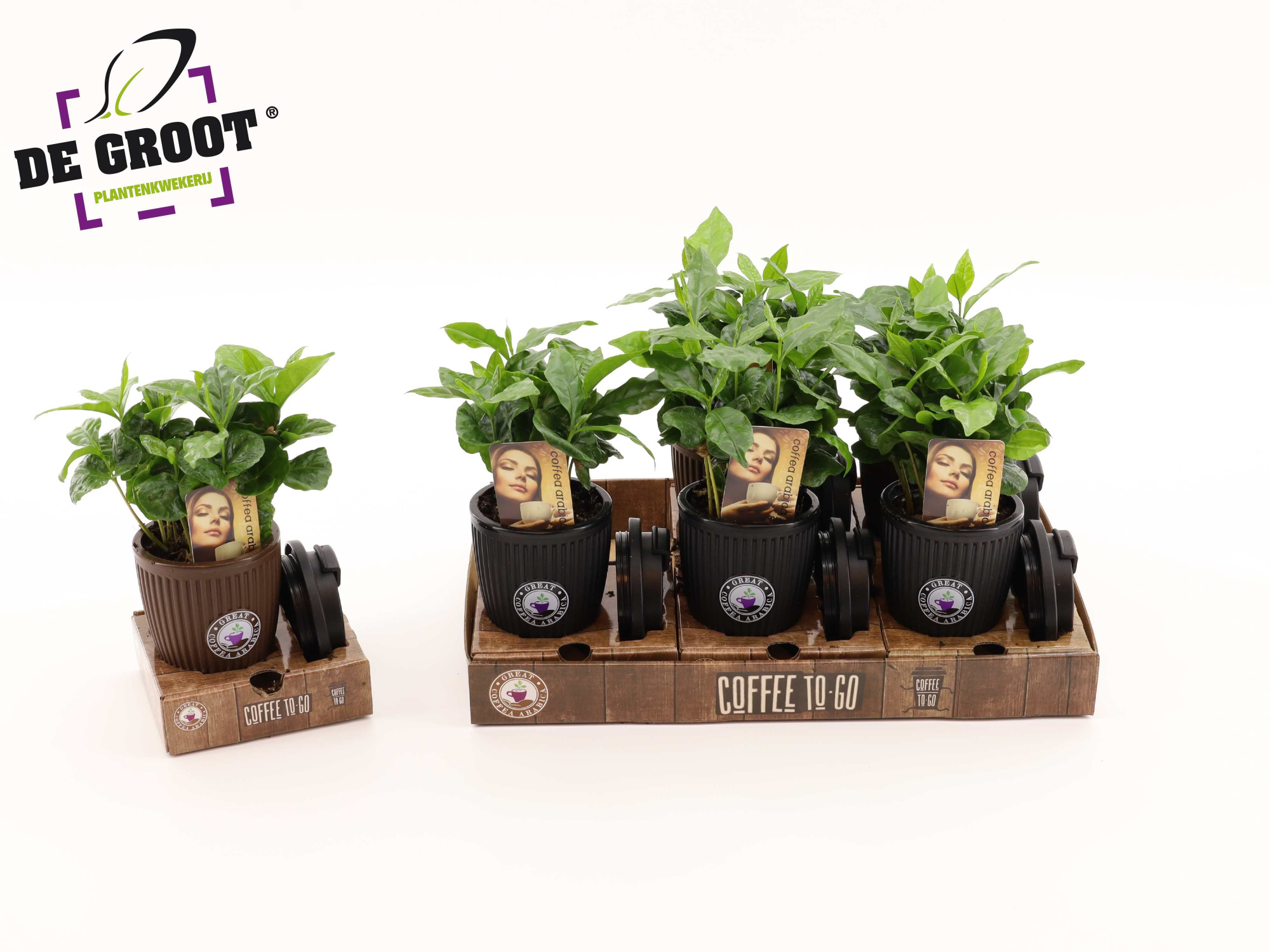 Coffea in bruikbaar To Go beker, D 9 cm