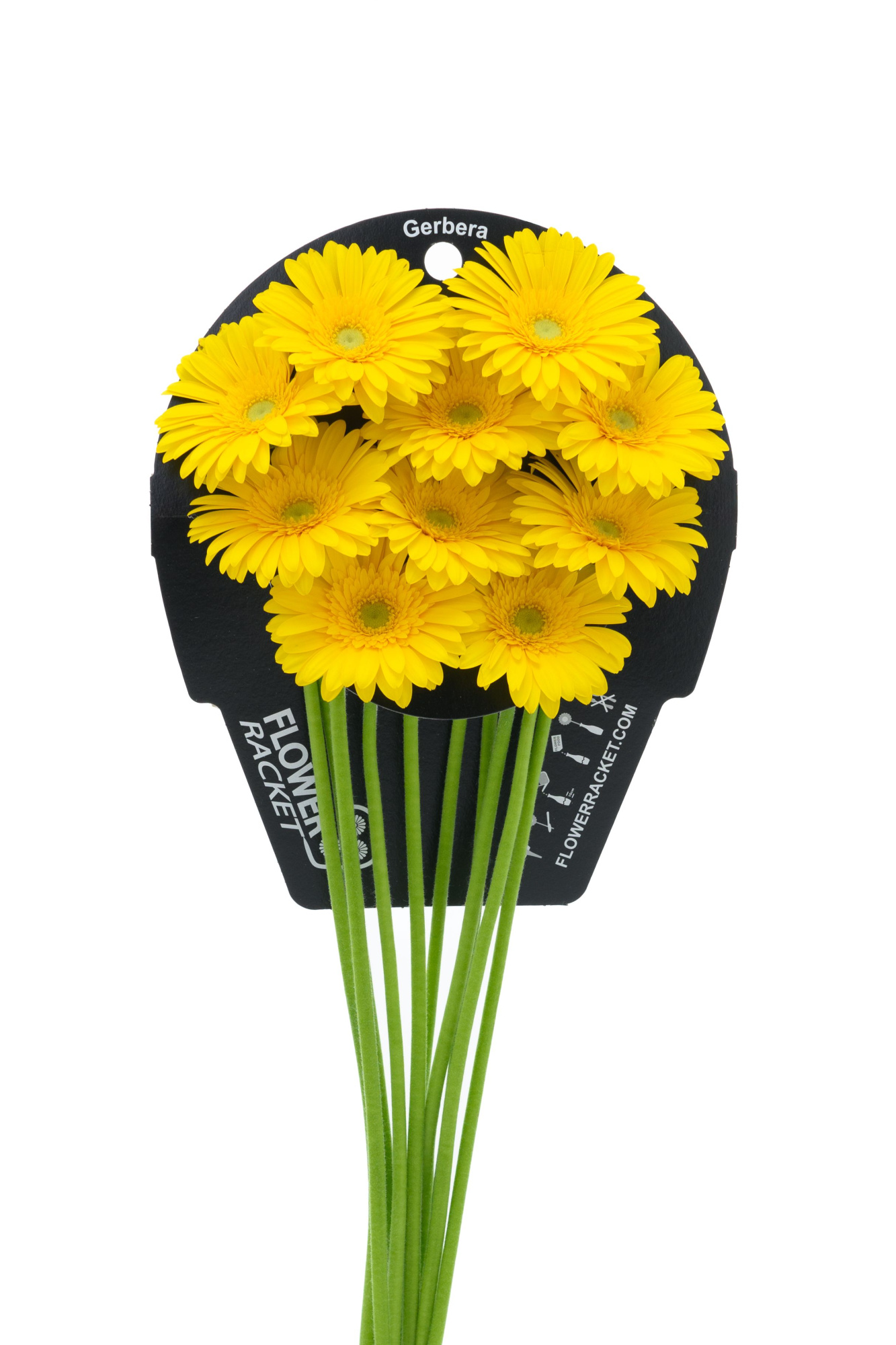 Гермини Эмоджи, шт.