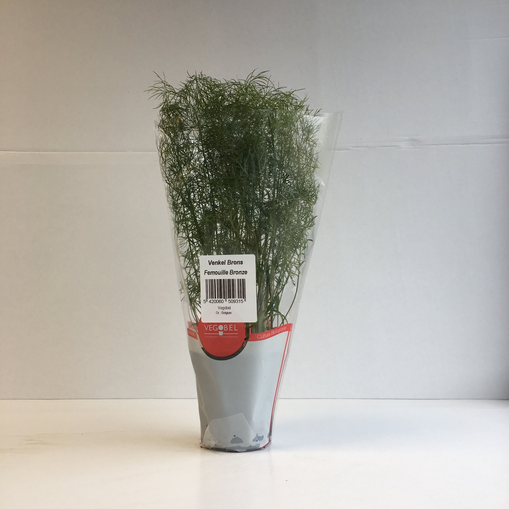 Bronsvenkel P9, D 9 cm