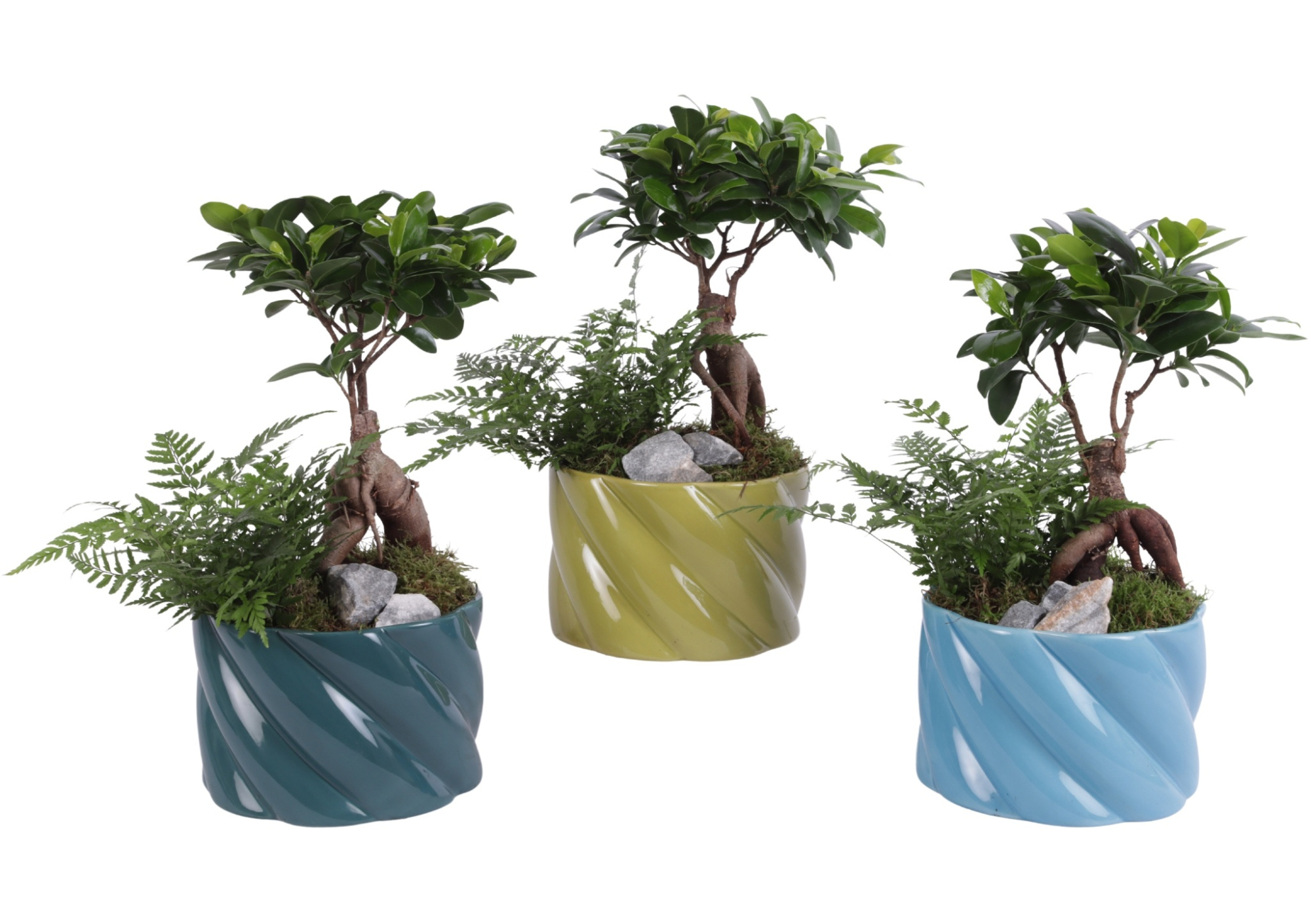 Yearround Arr. Indoor Ceramic Fresh Breeze FB674 Ø17cm 2PP, D 17