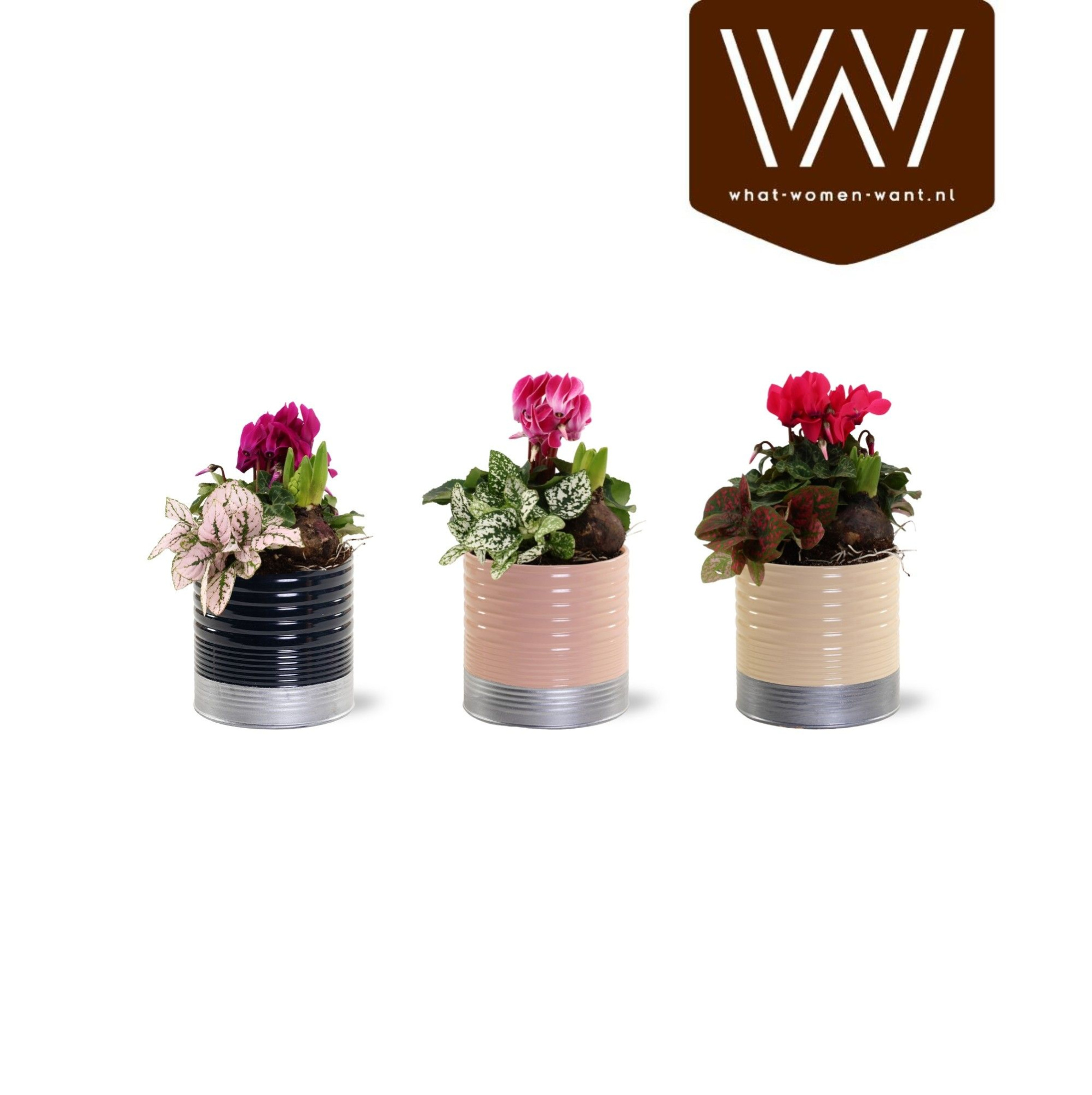 Collectie "Bubbles & wine" - Arrangement in Zink Nola, D 12 cm