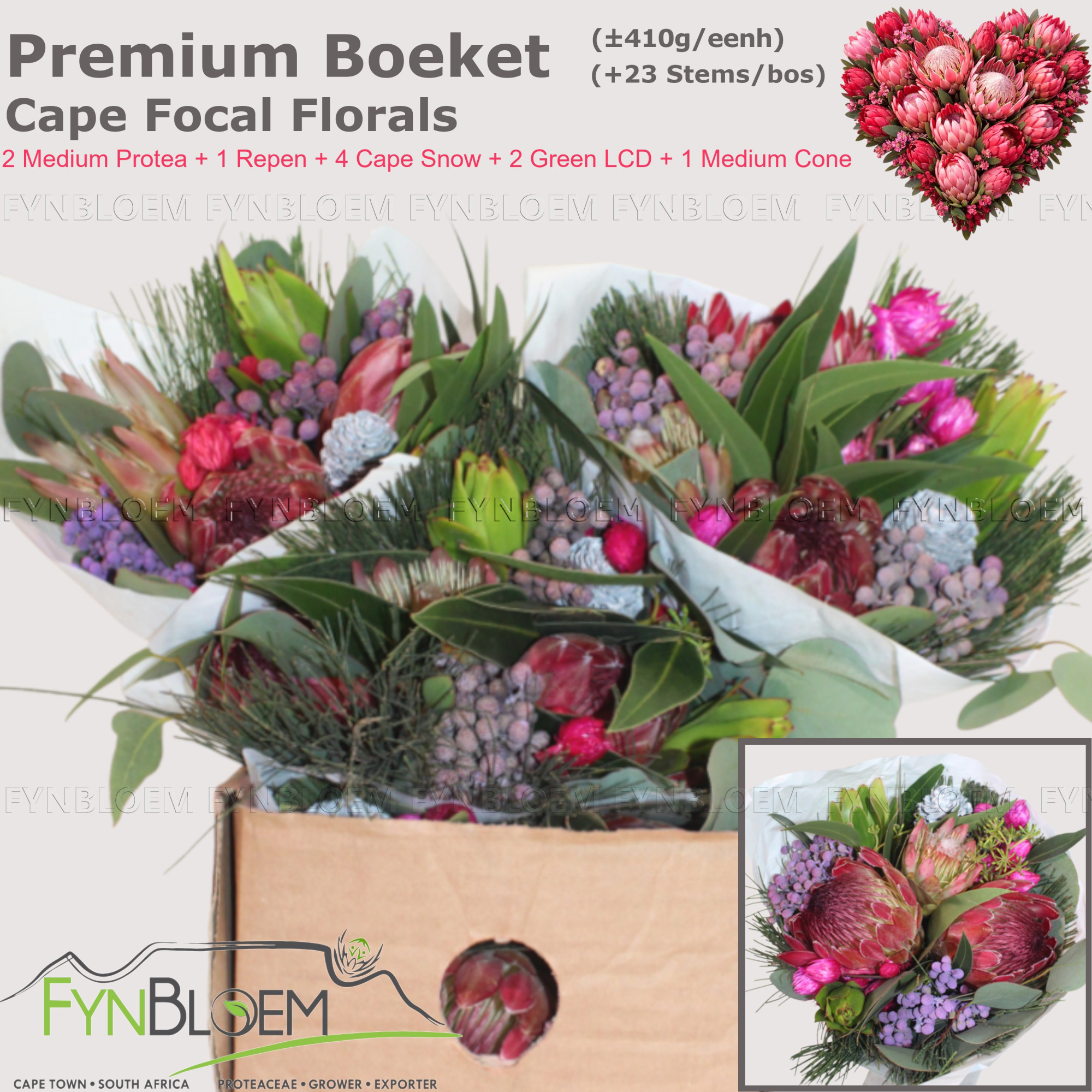 Протея Овериг за пучок 40, пуч.