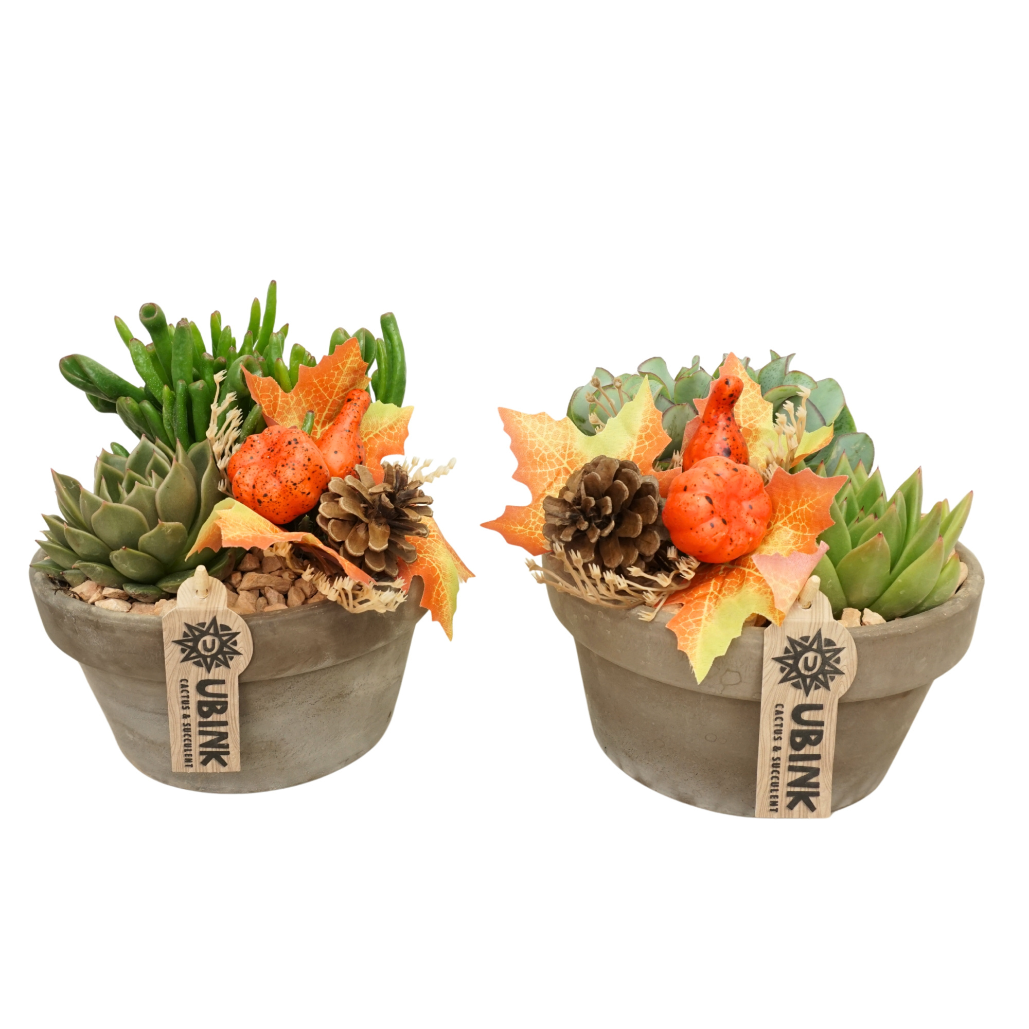 Herfst arrangement in 17 cm 'Grijze Schaal' met bijsteker, D 17 cm