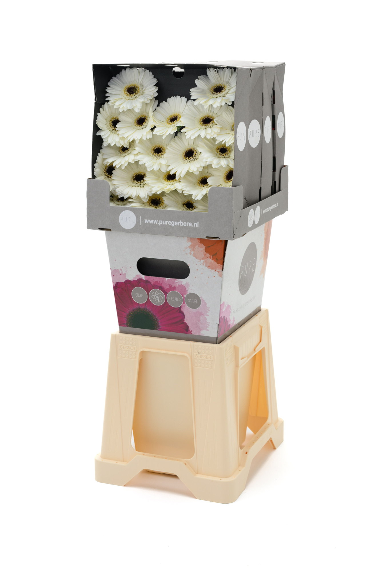 Гермини Лидо, шт.