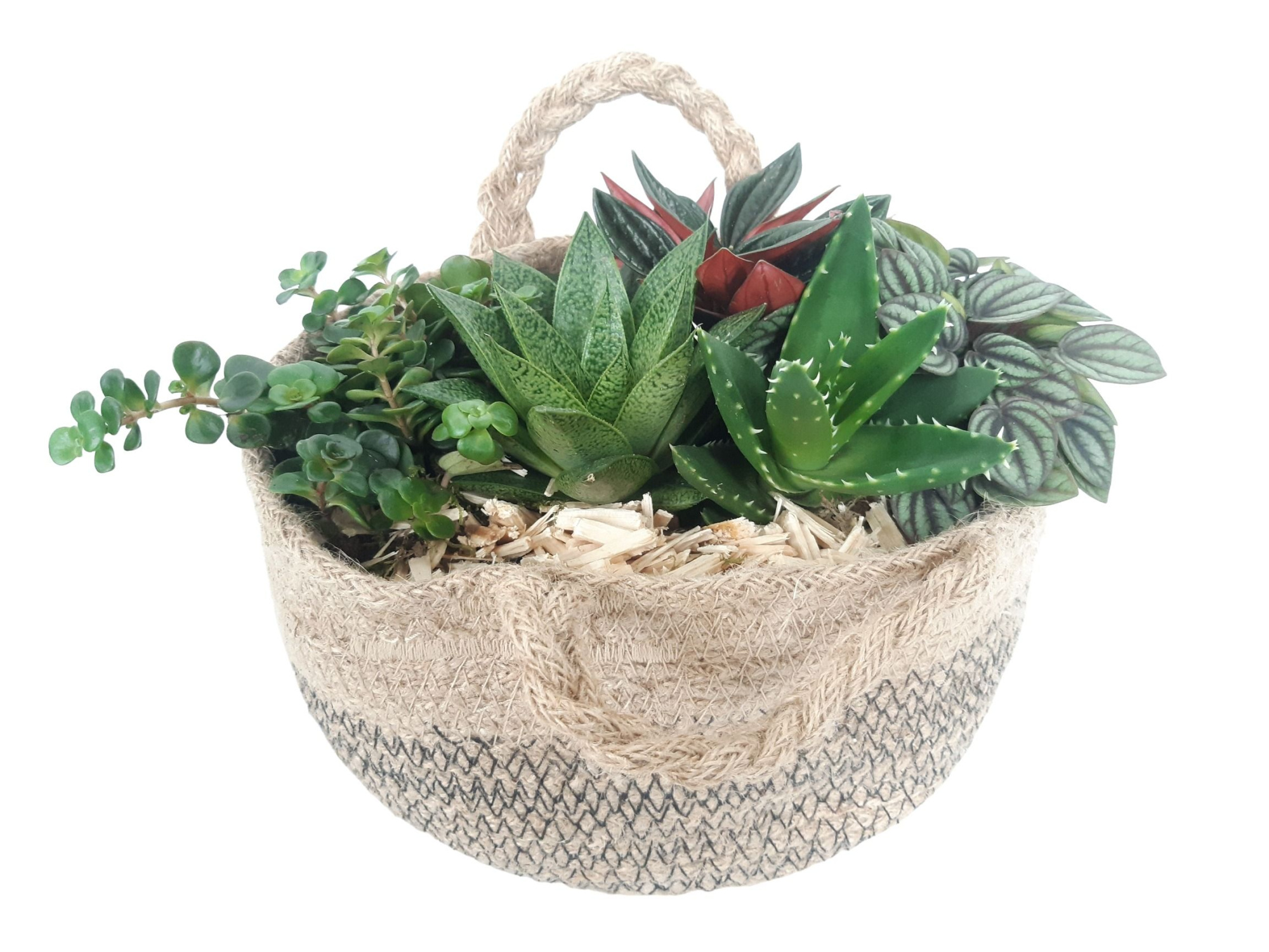 JT21AUT Jute tas mini succ.mix, D 21 cm