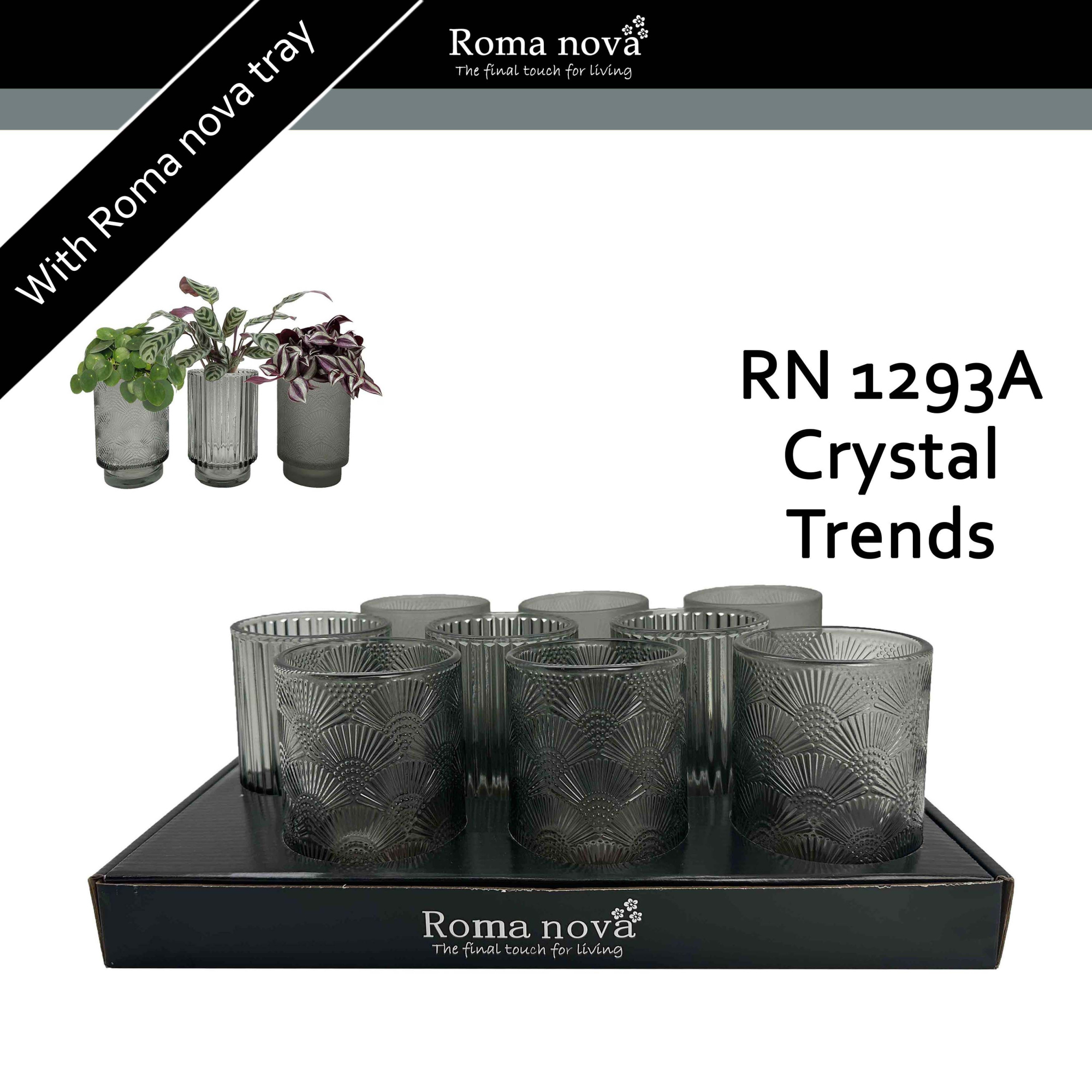 1293A - Crystal Trends (Hardware), D 9