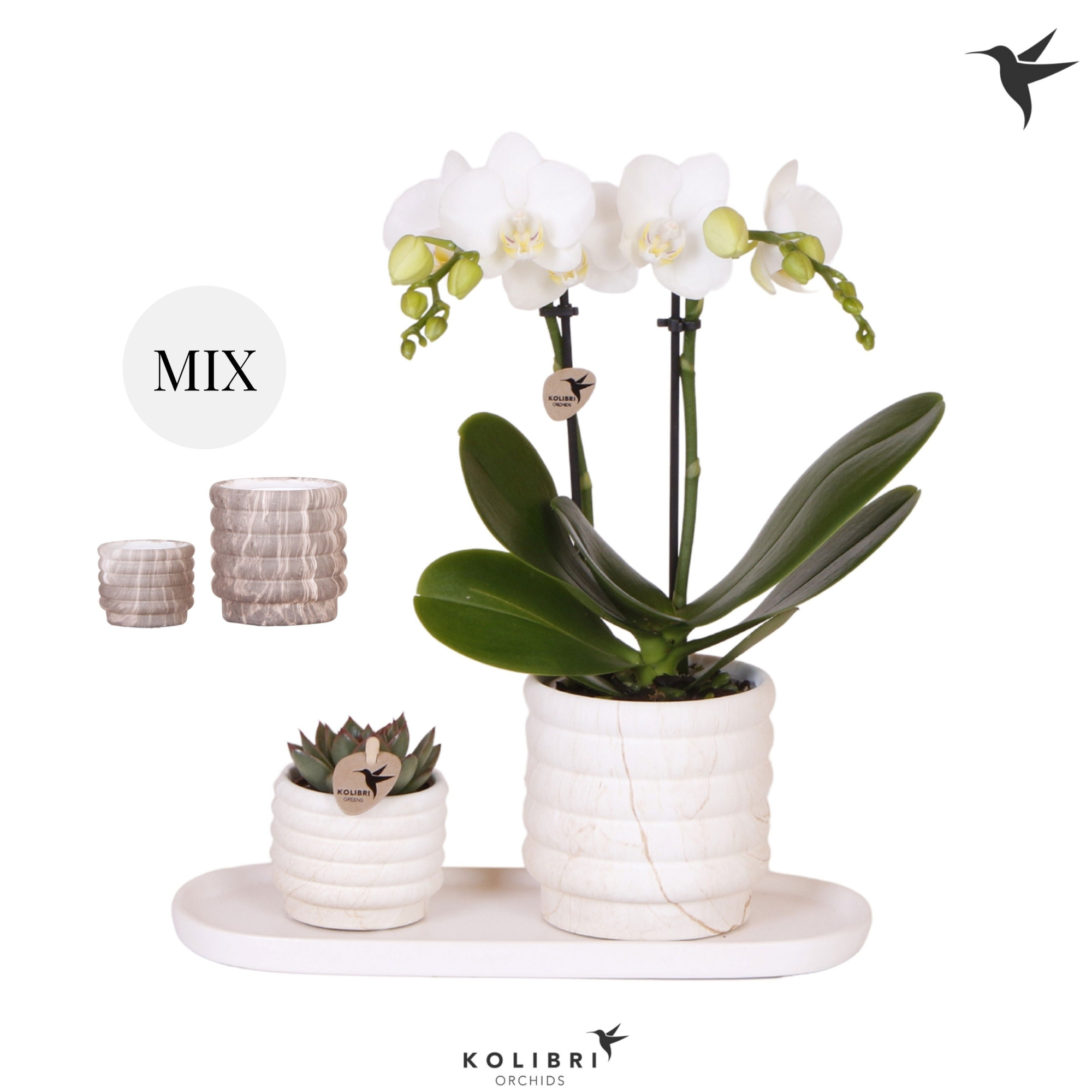 Kolibri Gift Set small Marble, D 18