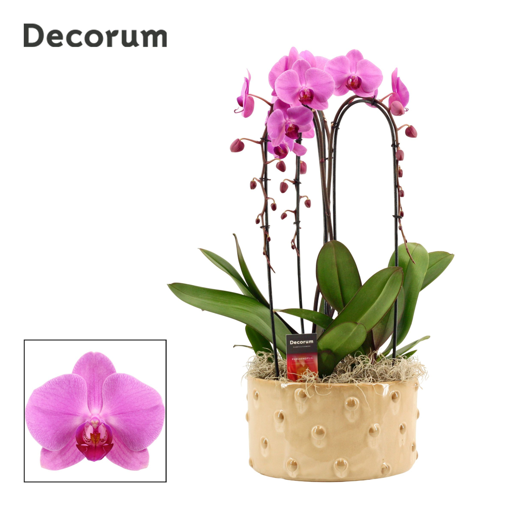 Belle cascade 3 tak symphony pink (Deco-collection), D 27 cm