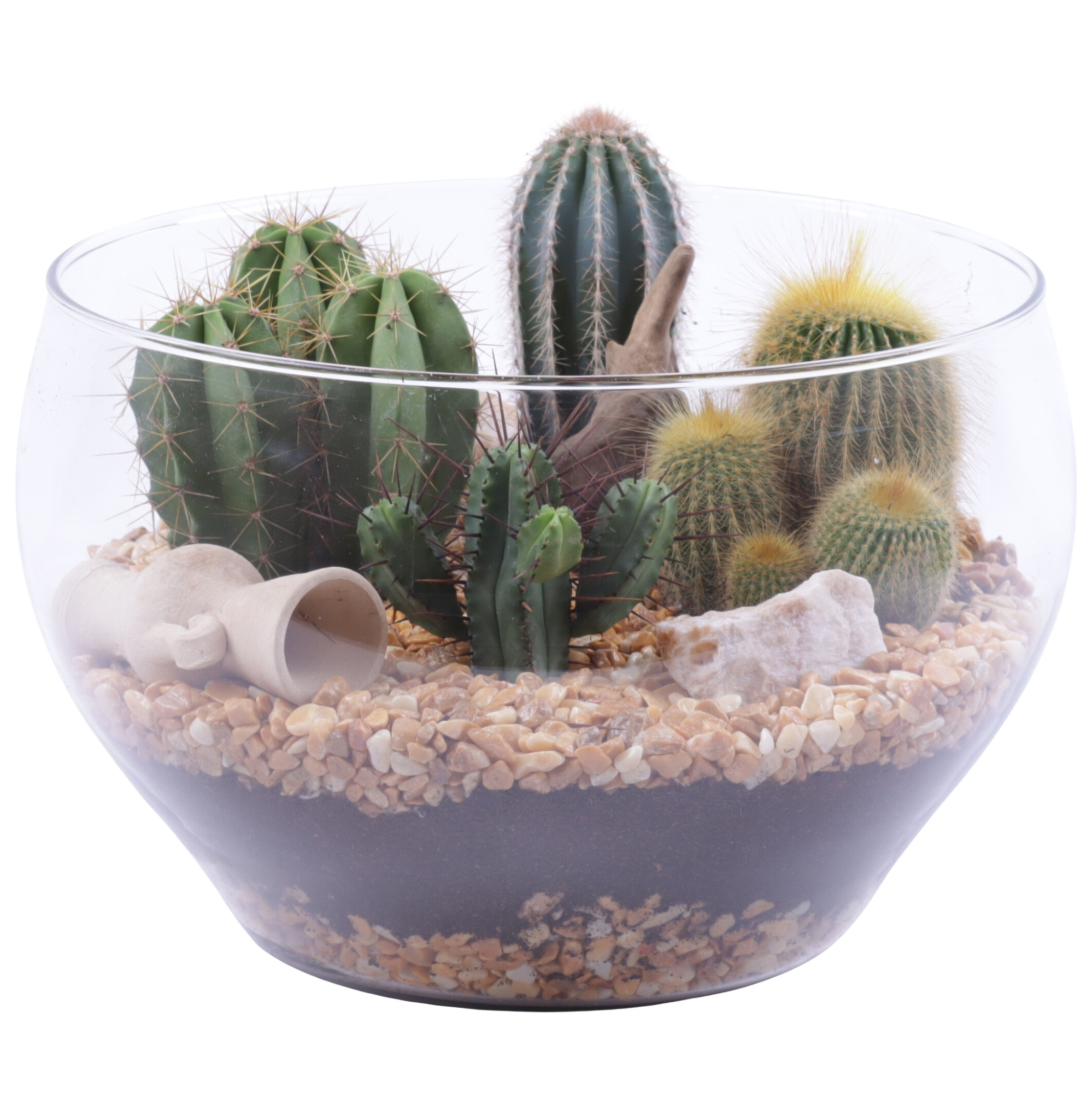Yearround Arr. Cactus Glass Vase Ø25cm 4PP, D 25 cm