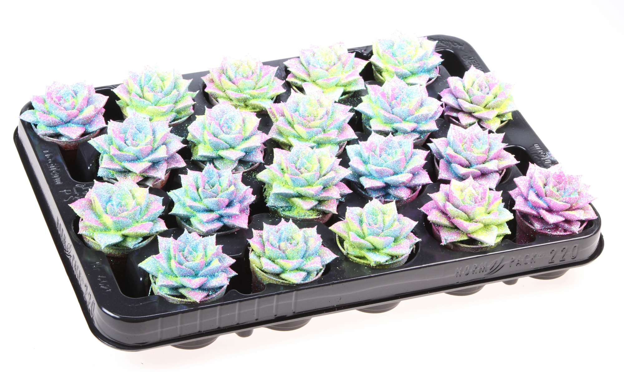 Purper multi glitter mix, D 5,5