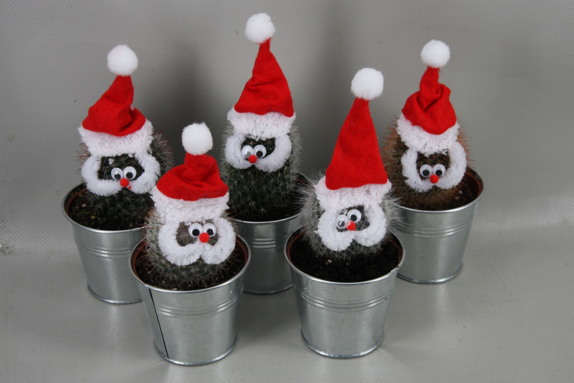 414 Kerstmancactus zink8,5 cm, D 9,5 cm