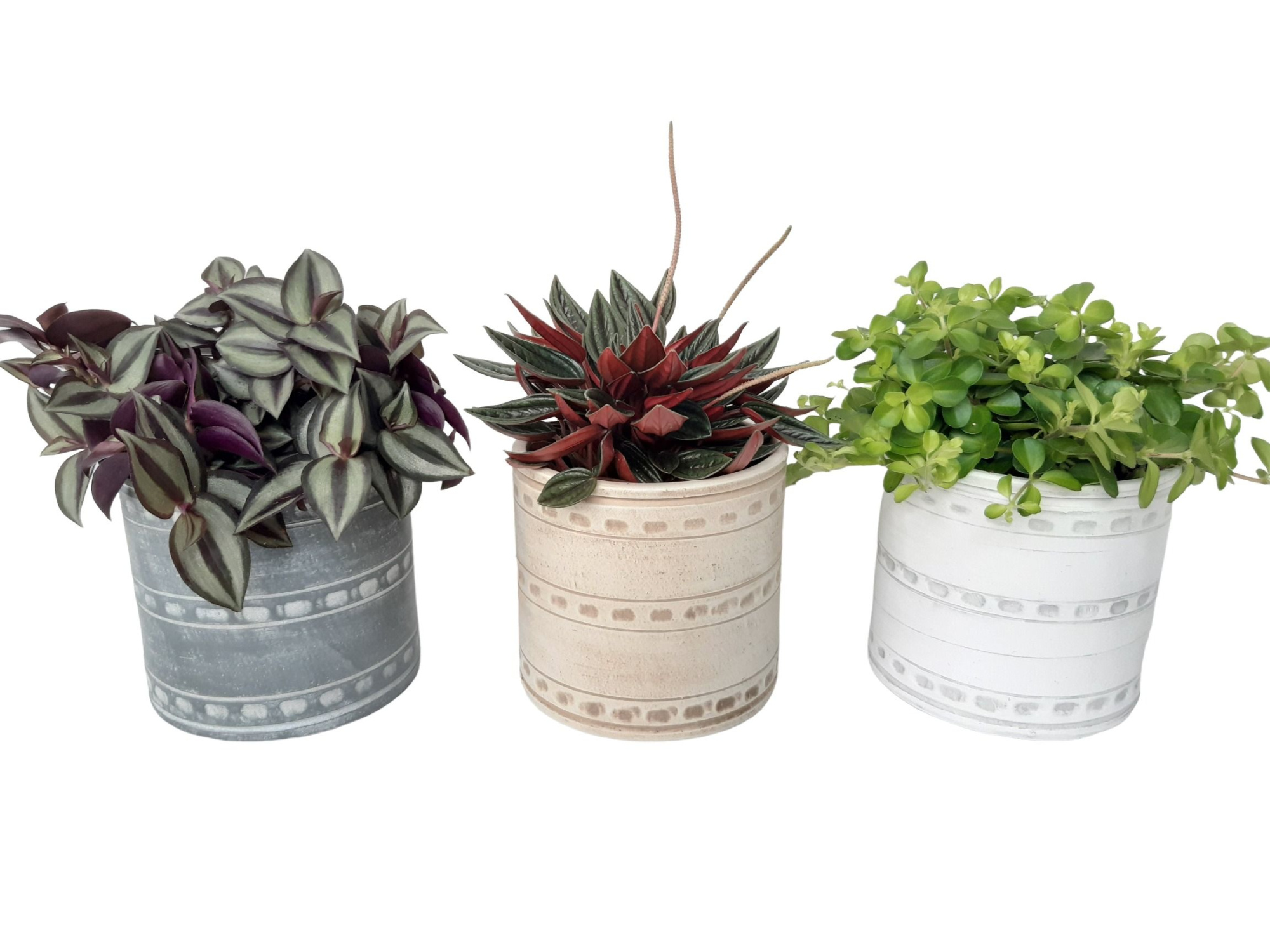 PCP14GEM Cilinderpot 14cm Groenmix, D 14