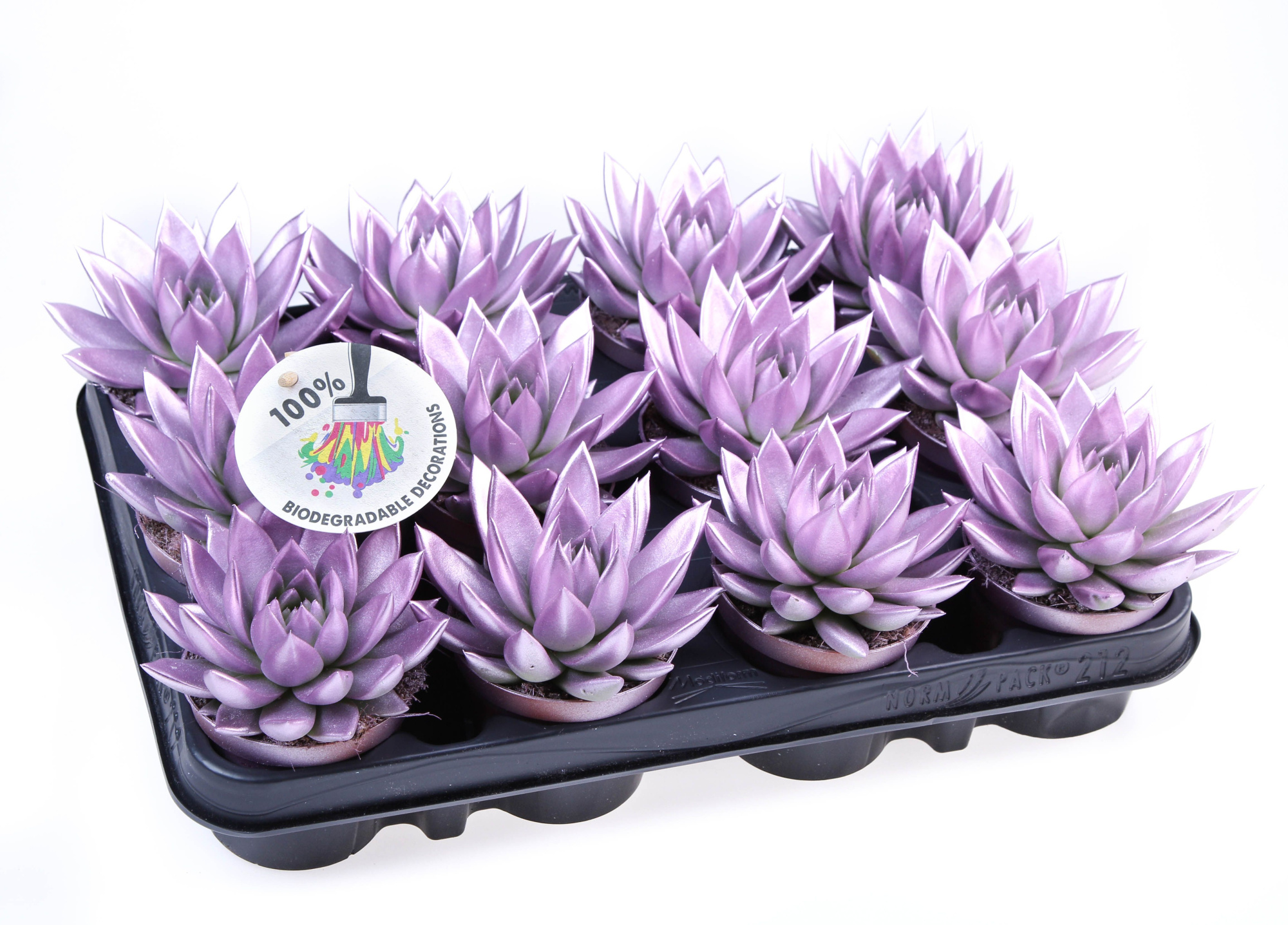 Rainbow Metallic pink, D 8,5 cm