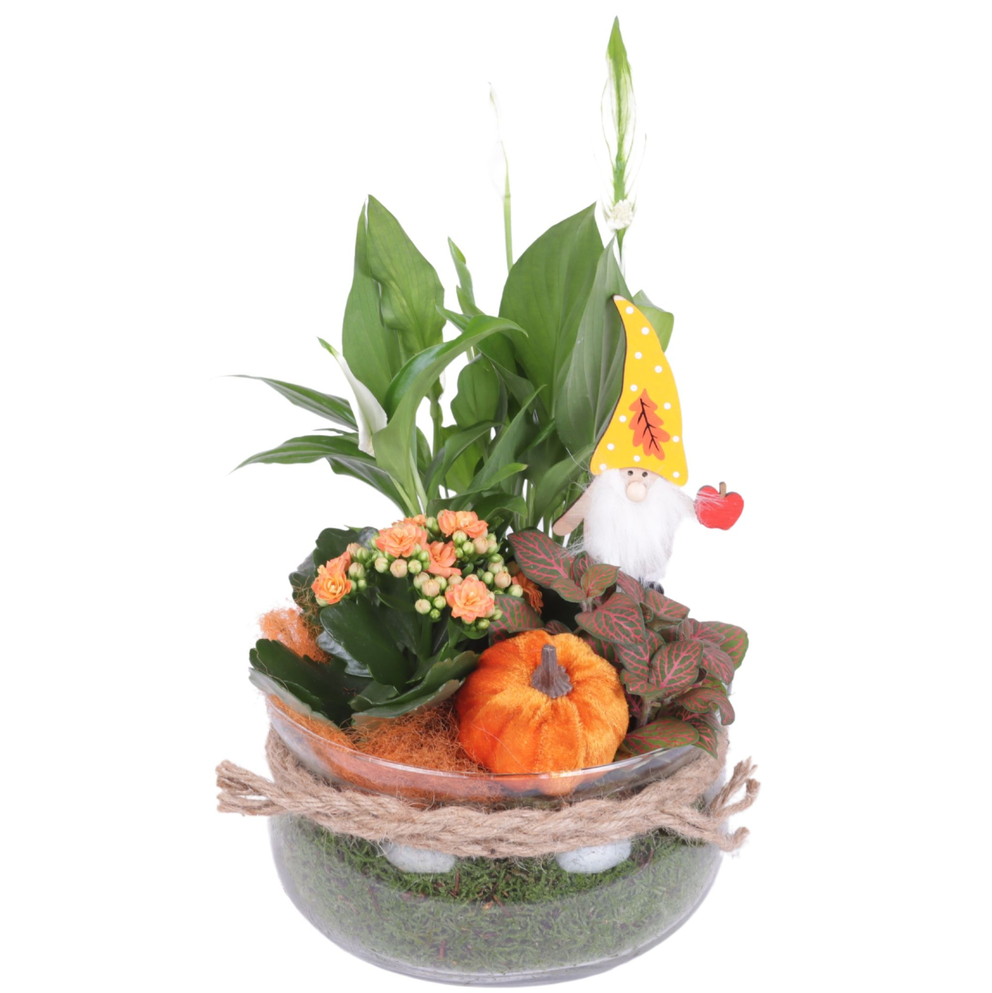 Autumn Arr. Indoor Glass Bowl with Rope Ø20cm 3PP, D 20 cm