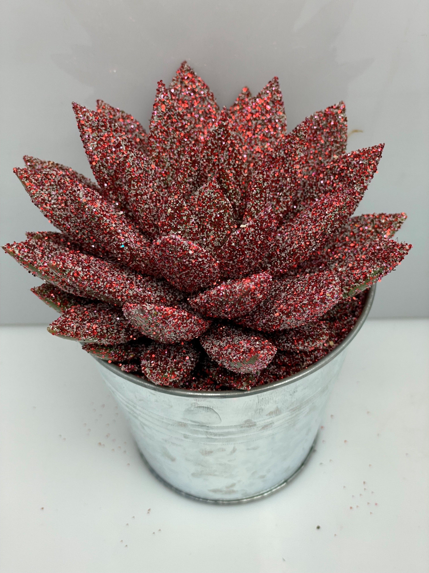 460kerstster BIO Twinkle glitter rood zinkpot8,5cm, D 9,5 cm