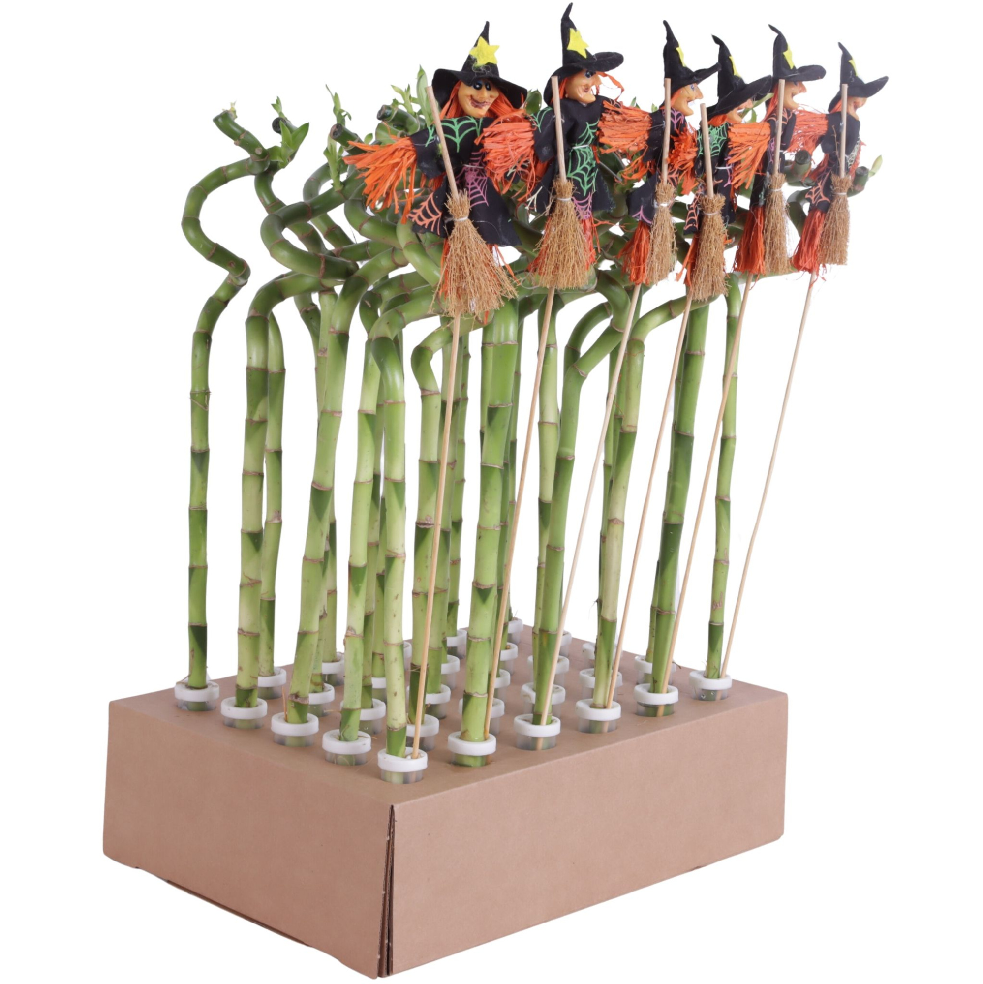 LB spiraal 45 cm in watertube met heksbijsteker, D 6 cm