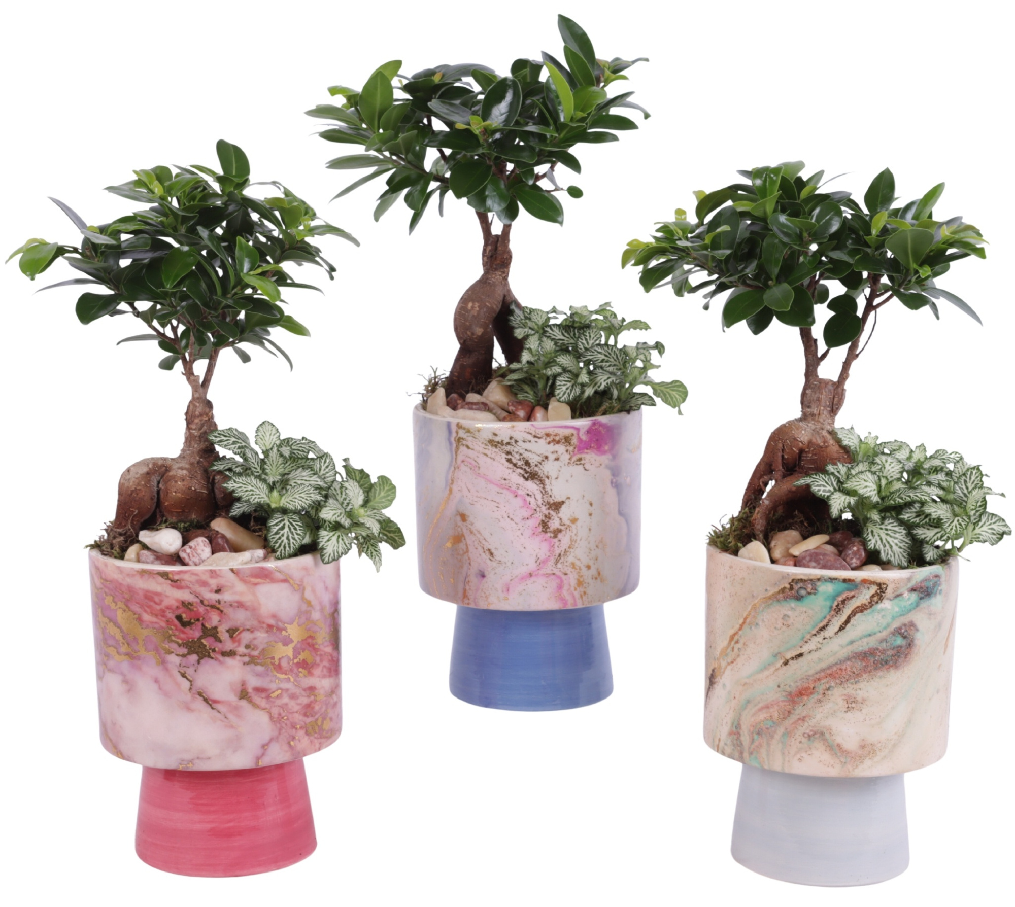 Yearround Arr. Indoor Ceramic Fresh Breeze FB676 Ø14cm 2PP, D 14