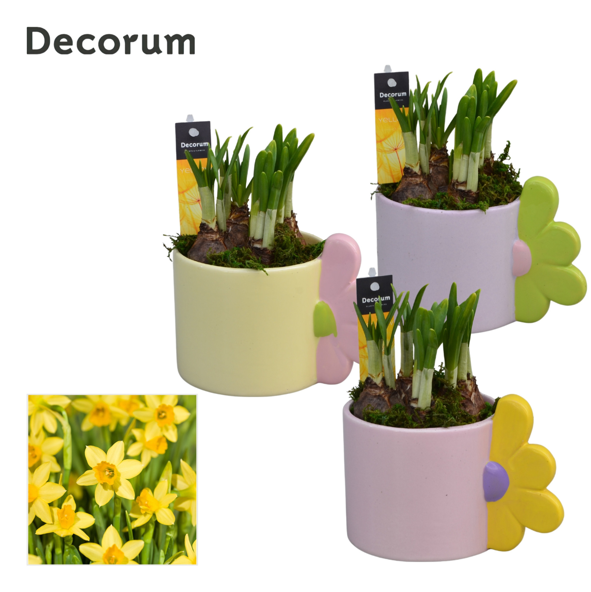 Narcis Bloomie Mug GM HL15417, D 10