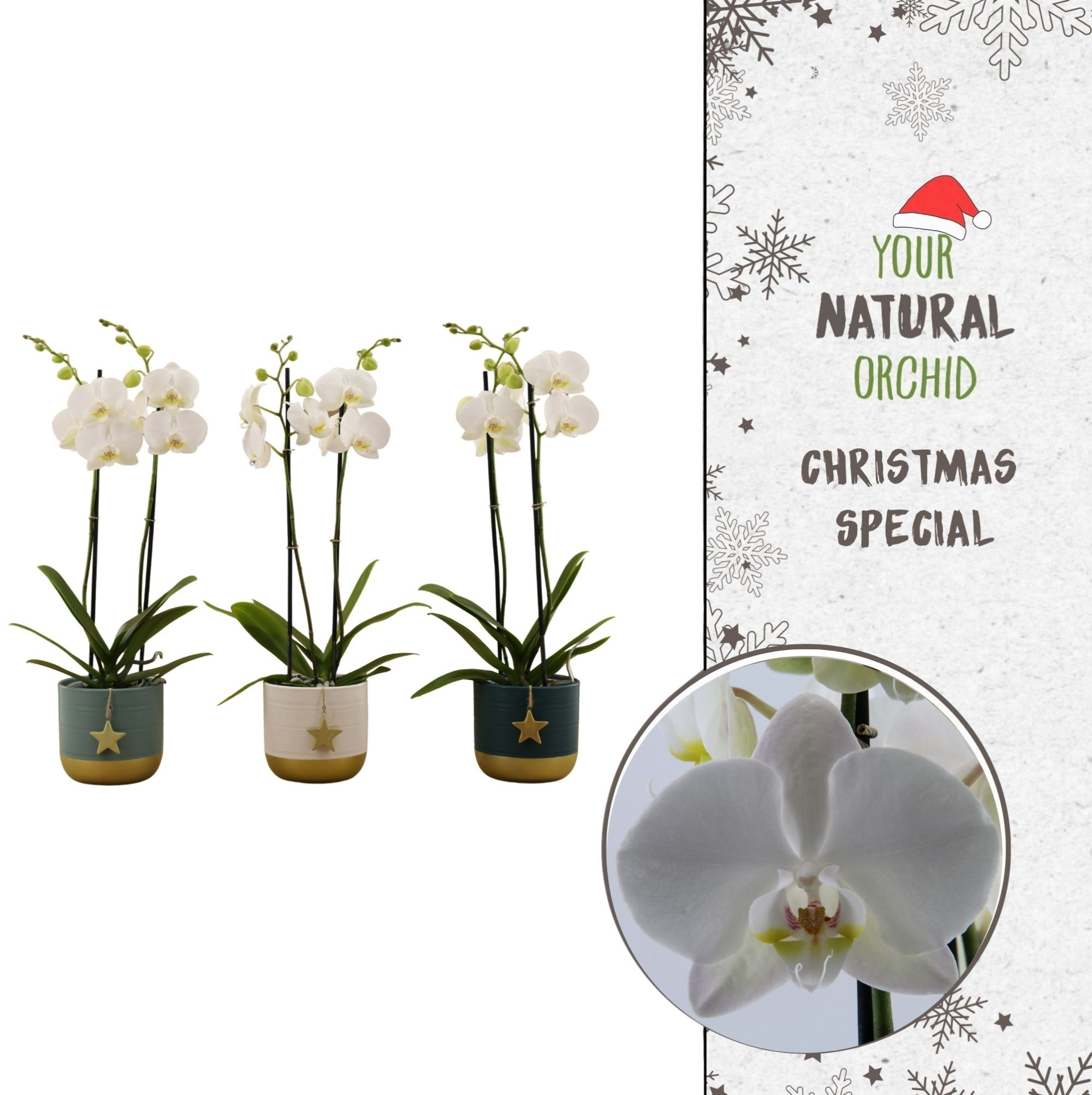 Christmas | Nottingham | Silent Night keramiek, D 12 cm