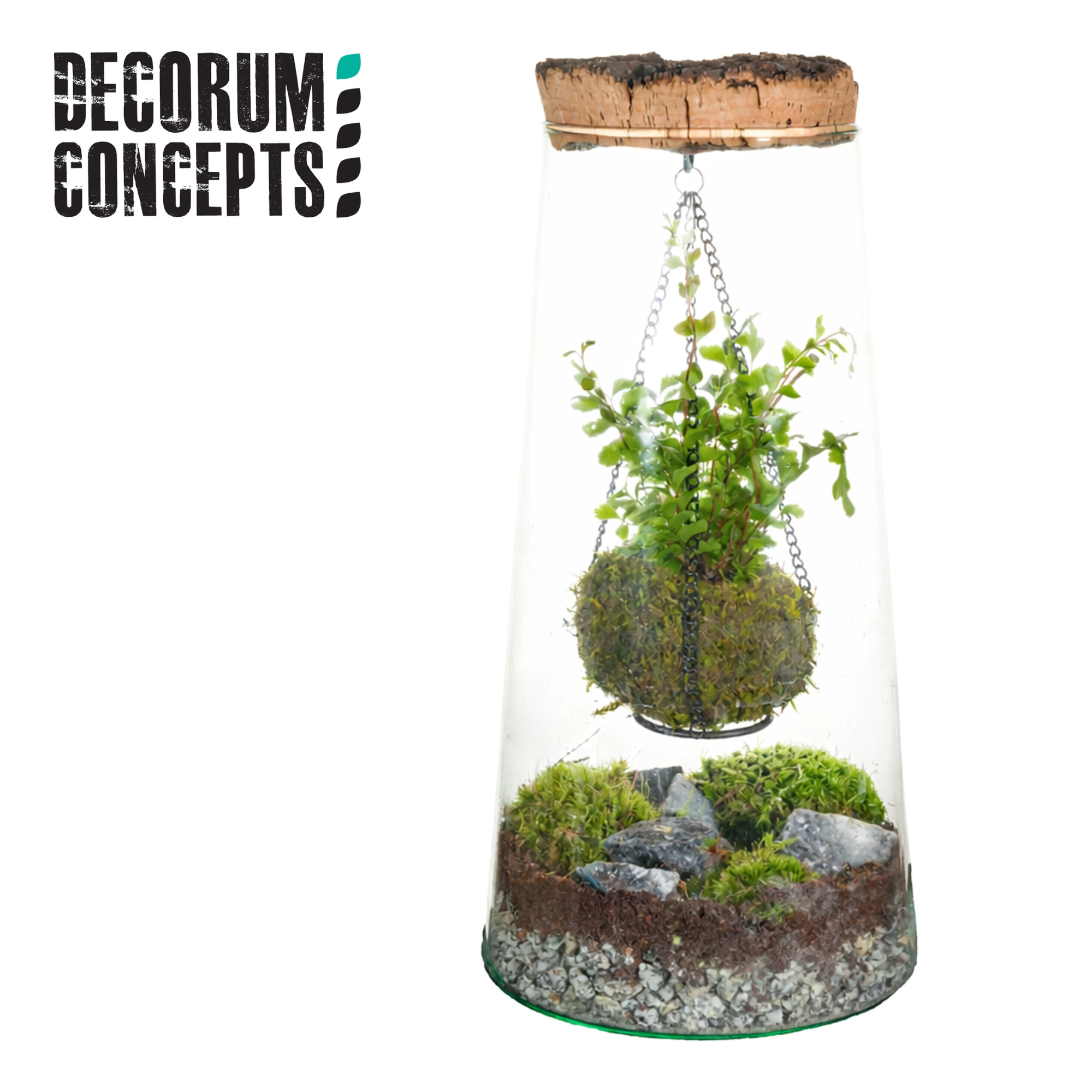 Terrarium Kokedarium triton (Decorum concepts), D 15