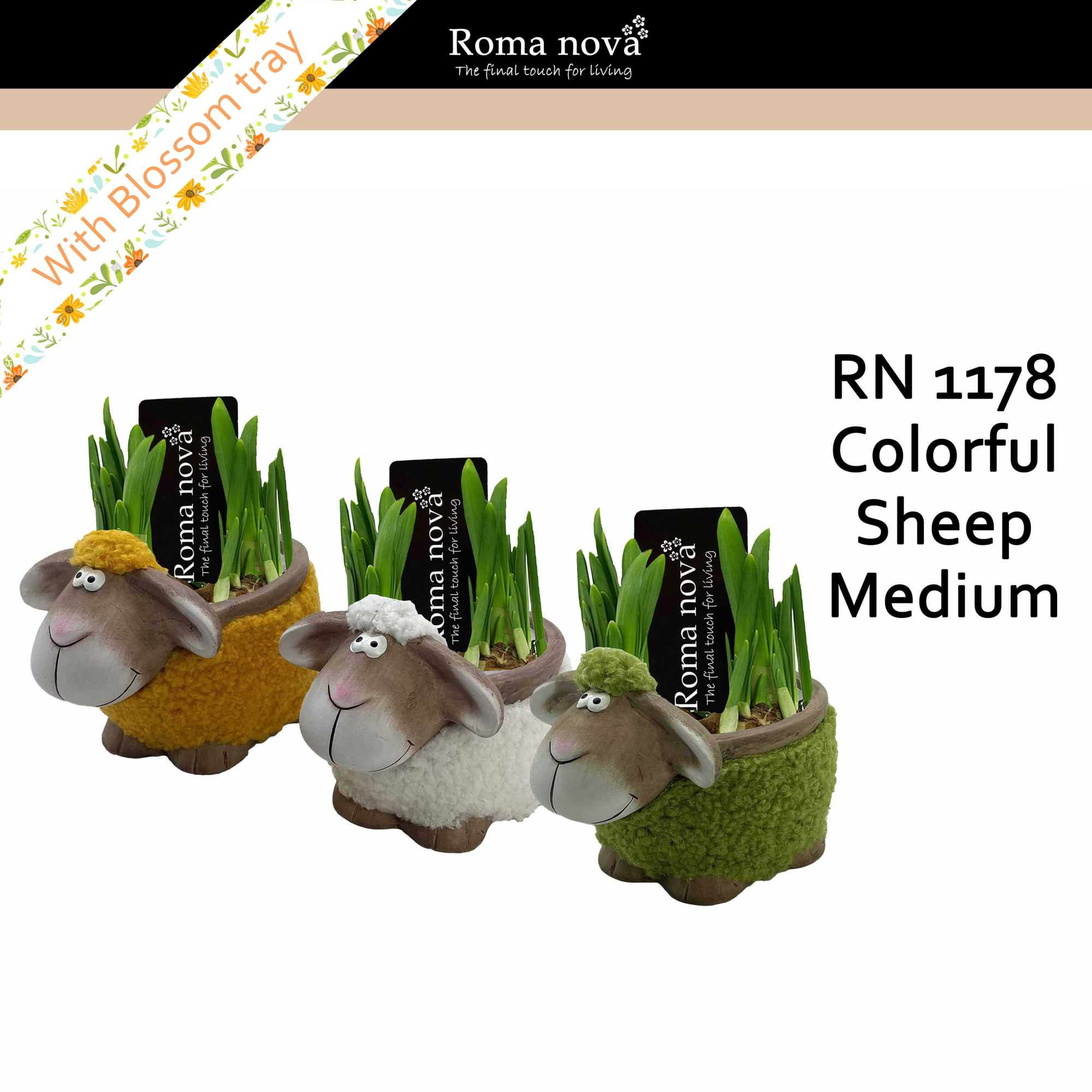 1178 - Colorful Sheep Medium (Tete a Tete), D 16