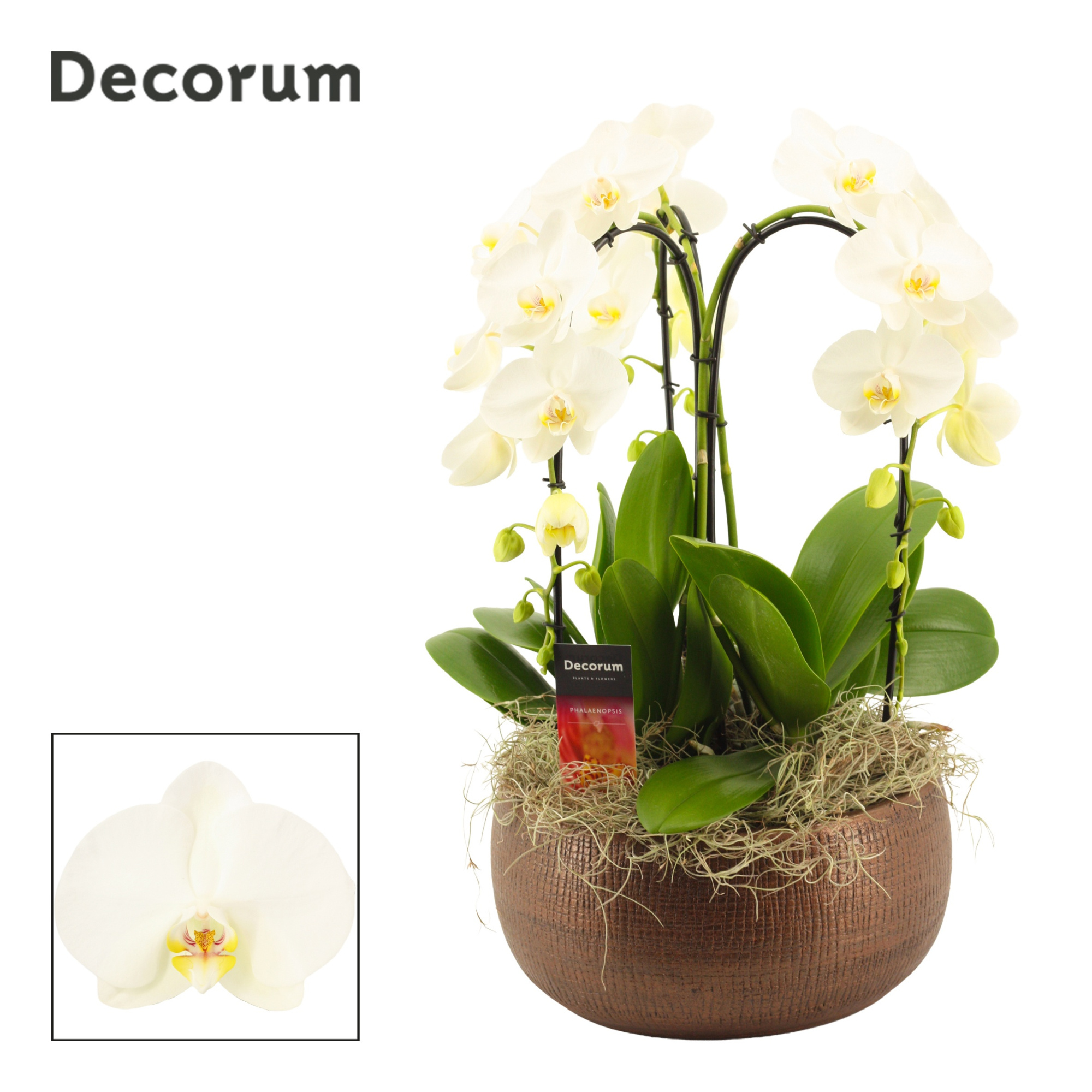 Terra cascade 3 tak symphony white(Deco-collection), D 27