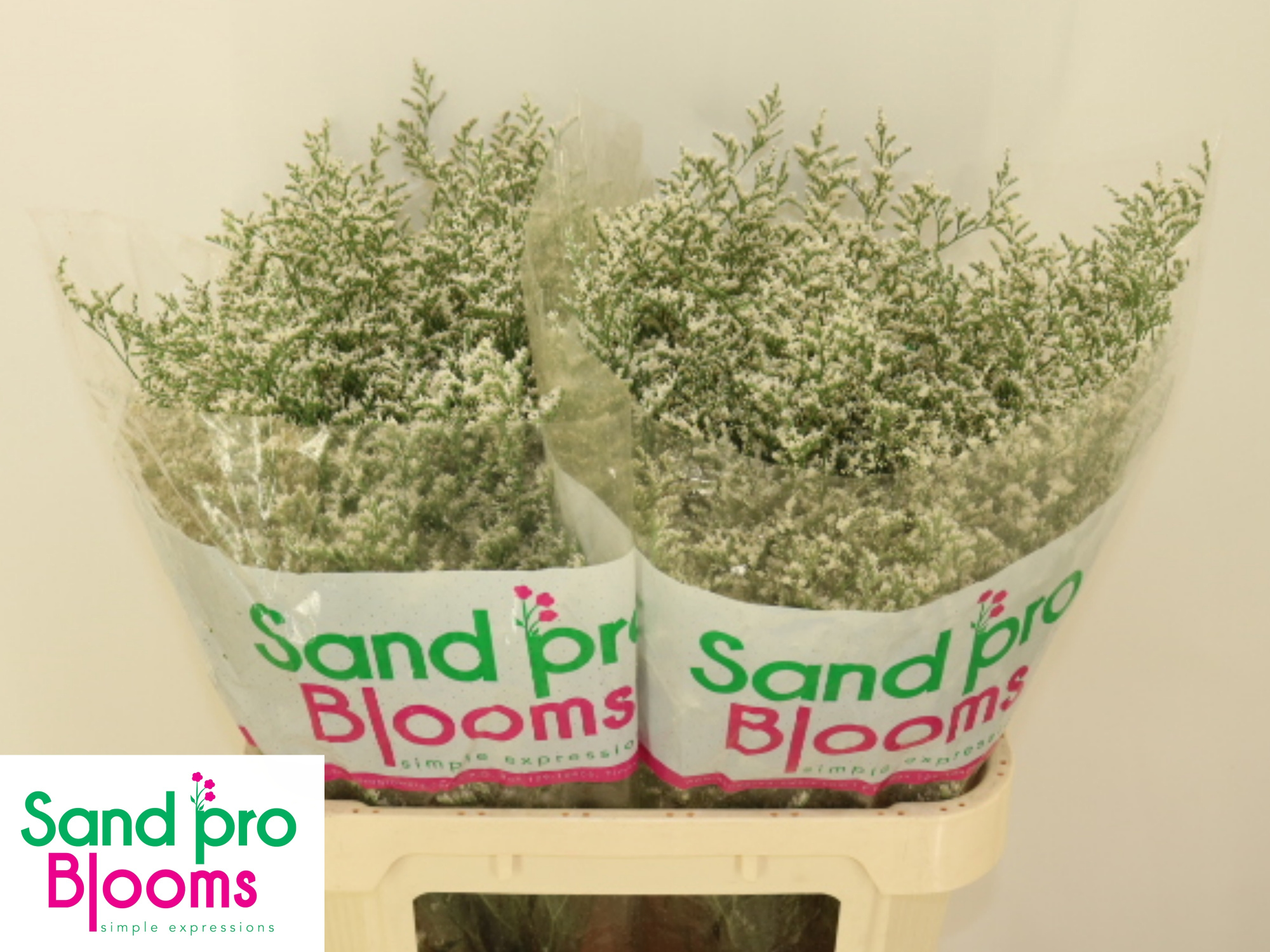 Лимониум Мисти Вайт 80, шт.