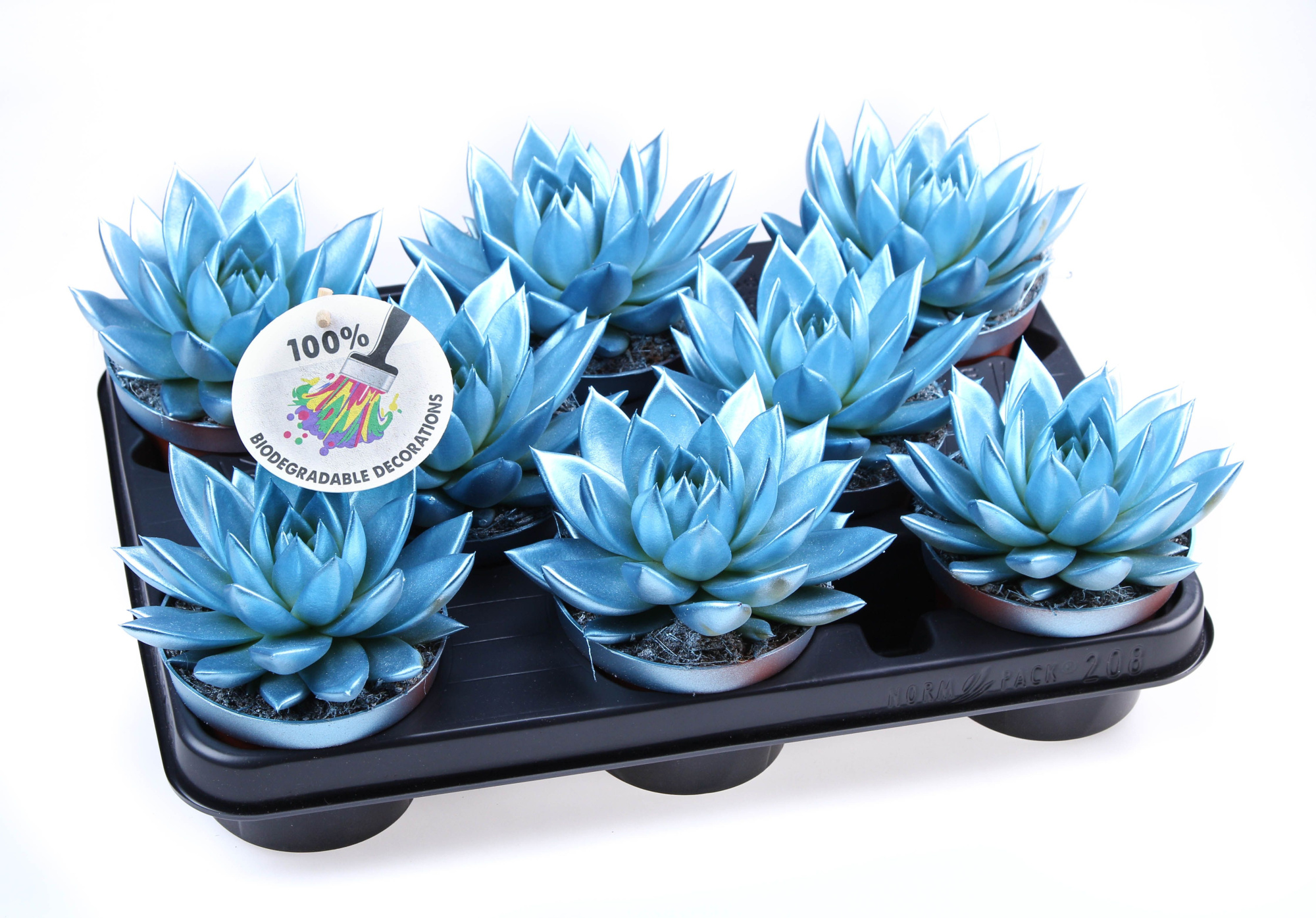 Rainbow metallic blue, D 10,5 cm