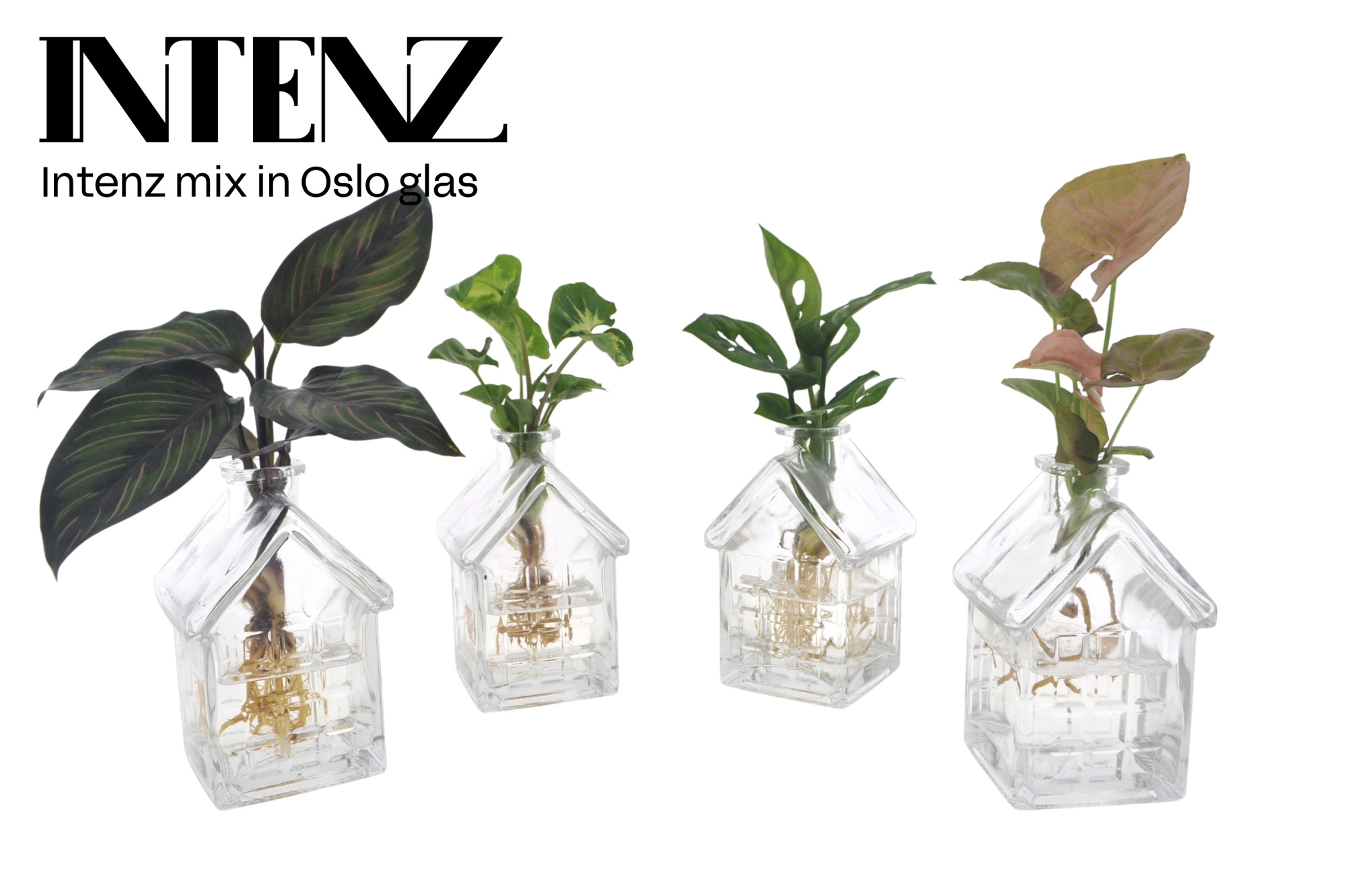 Mix in Oslo glas (Home) - levertijd: 24 uur, D 7