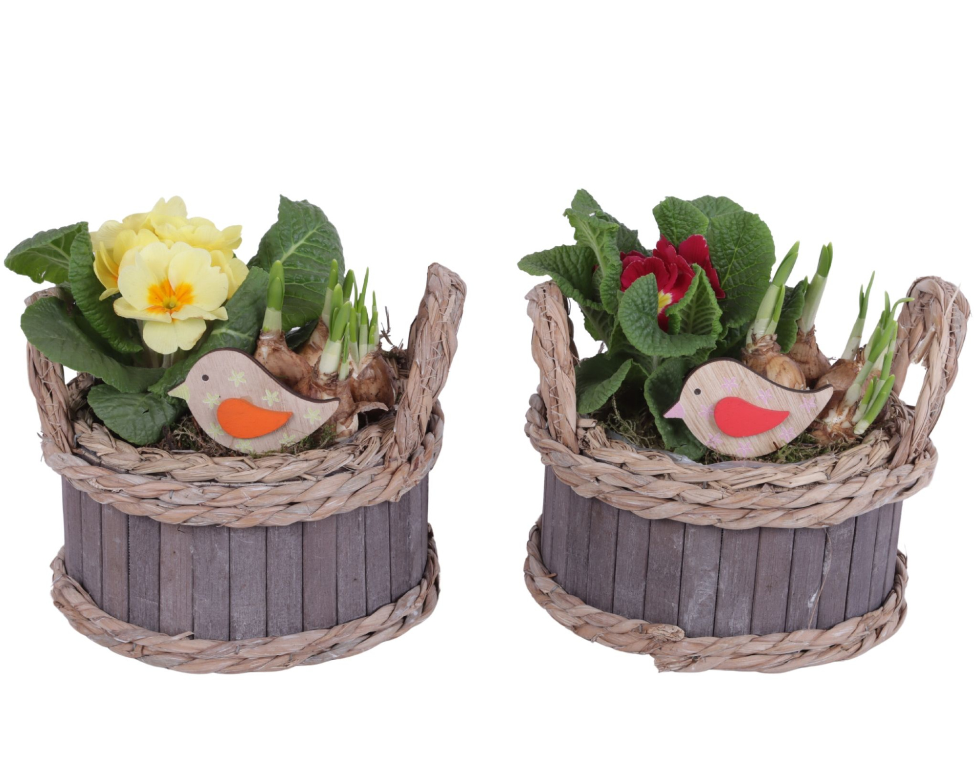 Early Spring Arr. Outdoor Wooden Pot Waterhyacint Rim Ø19cm 2PP, D 19