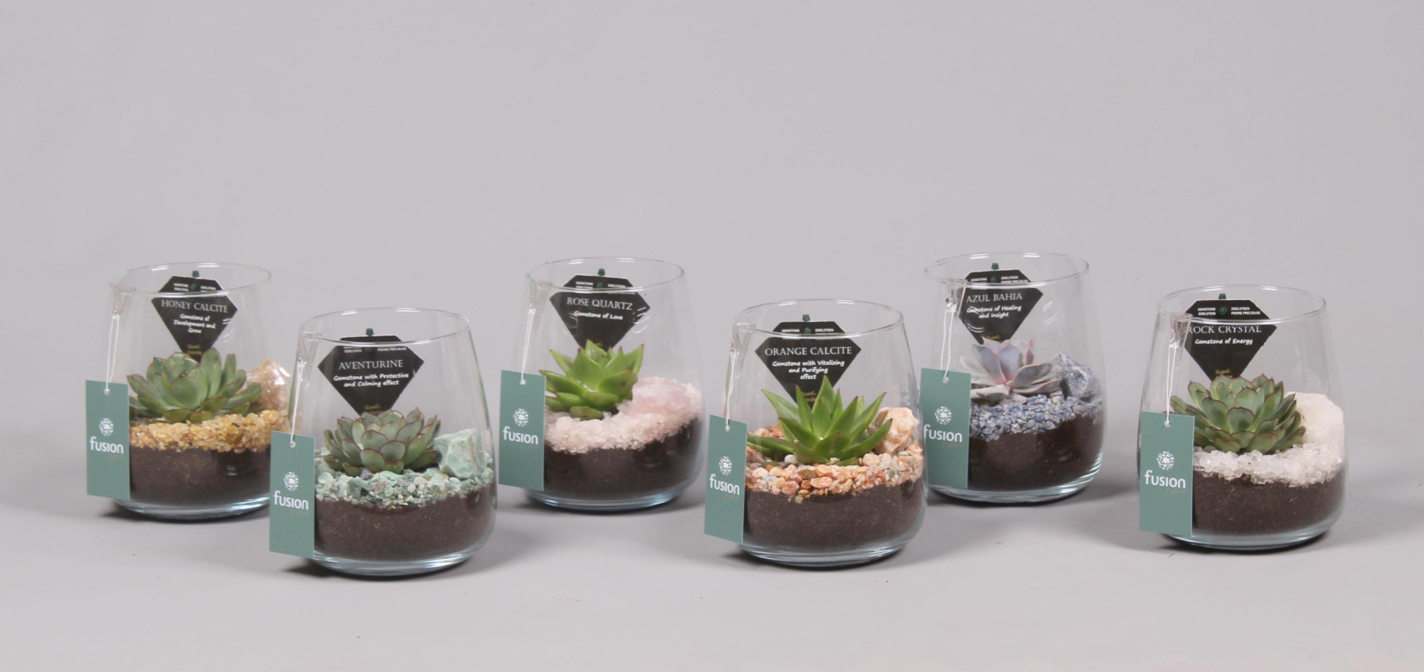 Glazen vaas met Edelstenen met Succulenten, D 14 cm