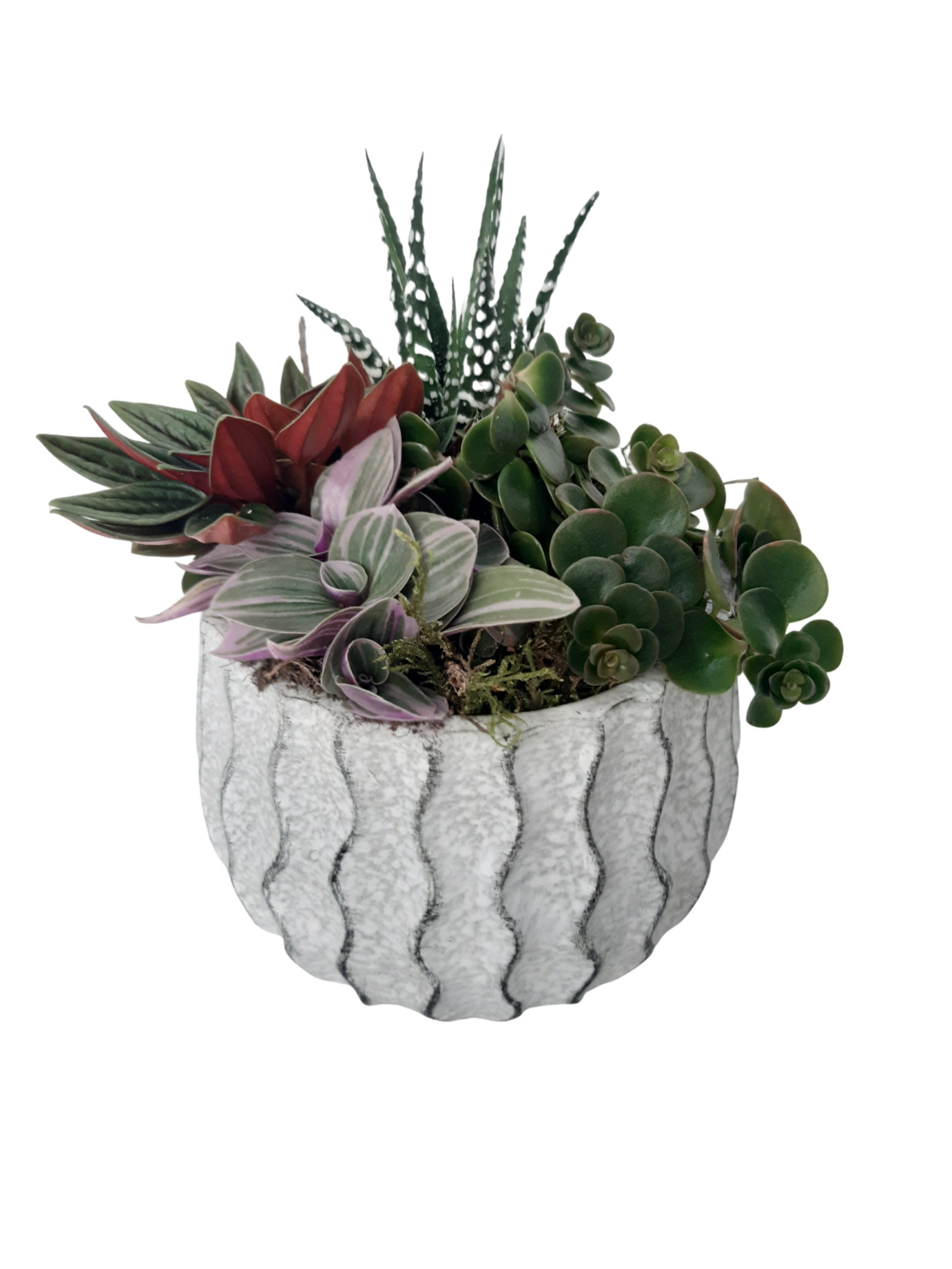 WP14HMX Wave Pot Cement 14cm mini groenmix, D 14 cm