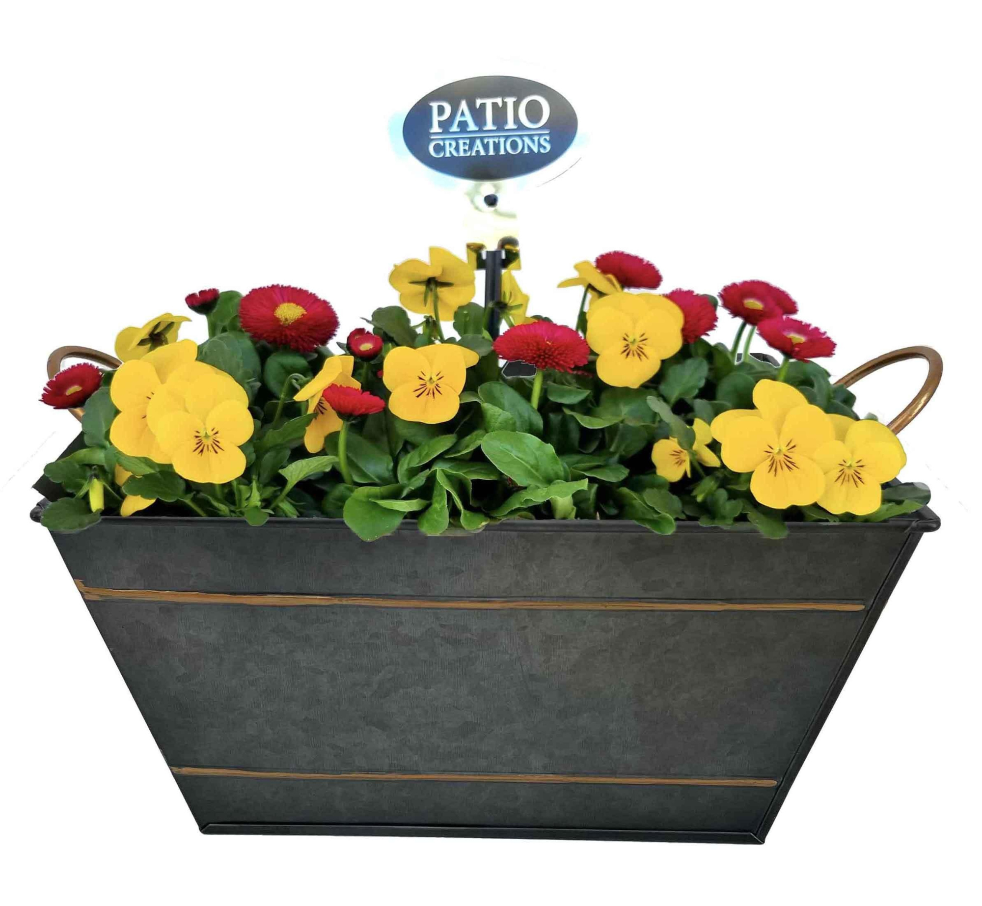 VB840-9006 Viola-Bellis Sterre zink vierkant, D 23