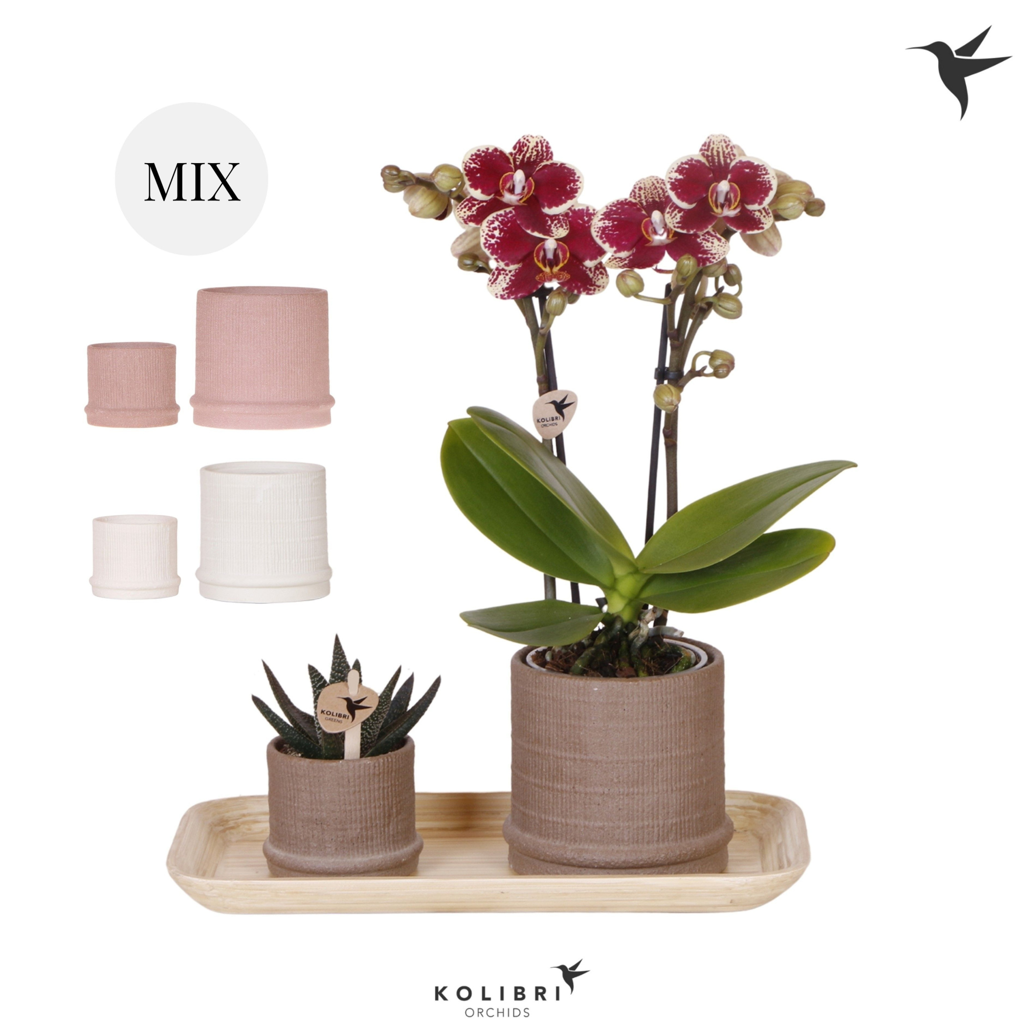 Kolibri Gift Set small Culture Cocktail, D 18 cm