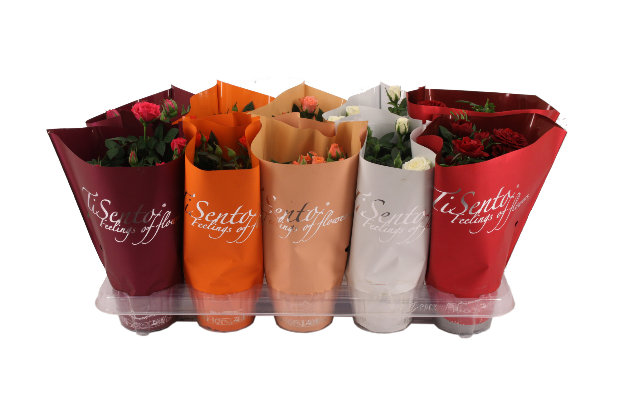 Potroos 10.5 cm Halloween, D 10 cm