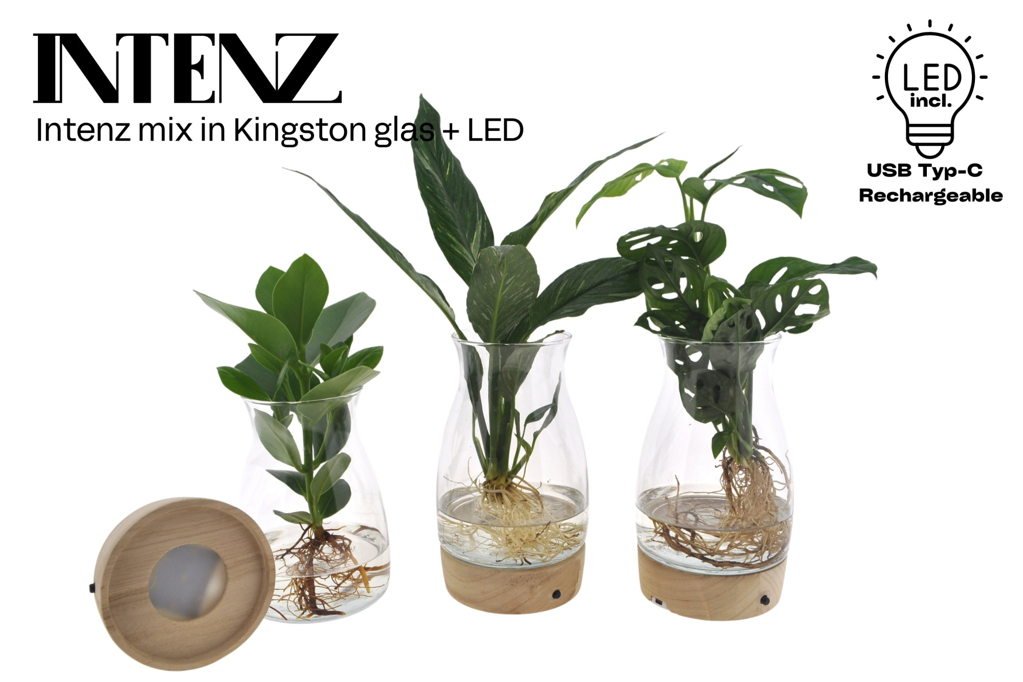 Intenz mix in Kingston glas + LED - levertijd: 24 uur, D 12 cm