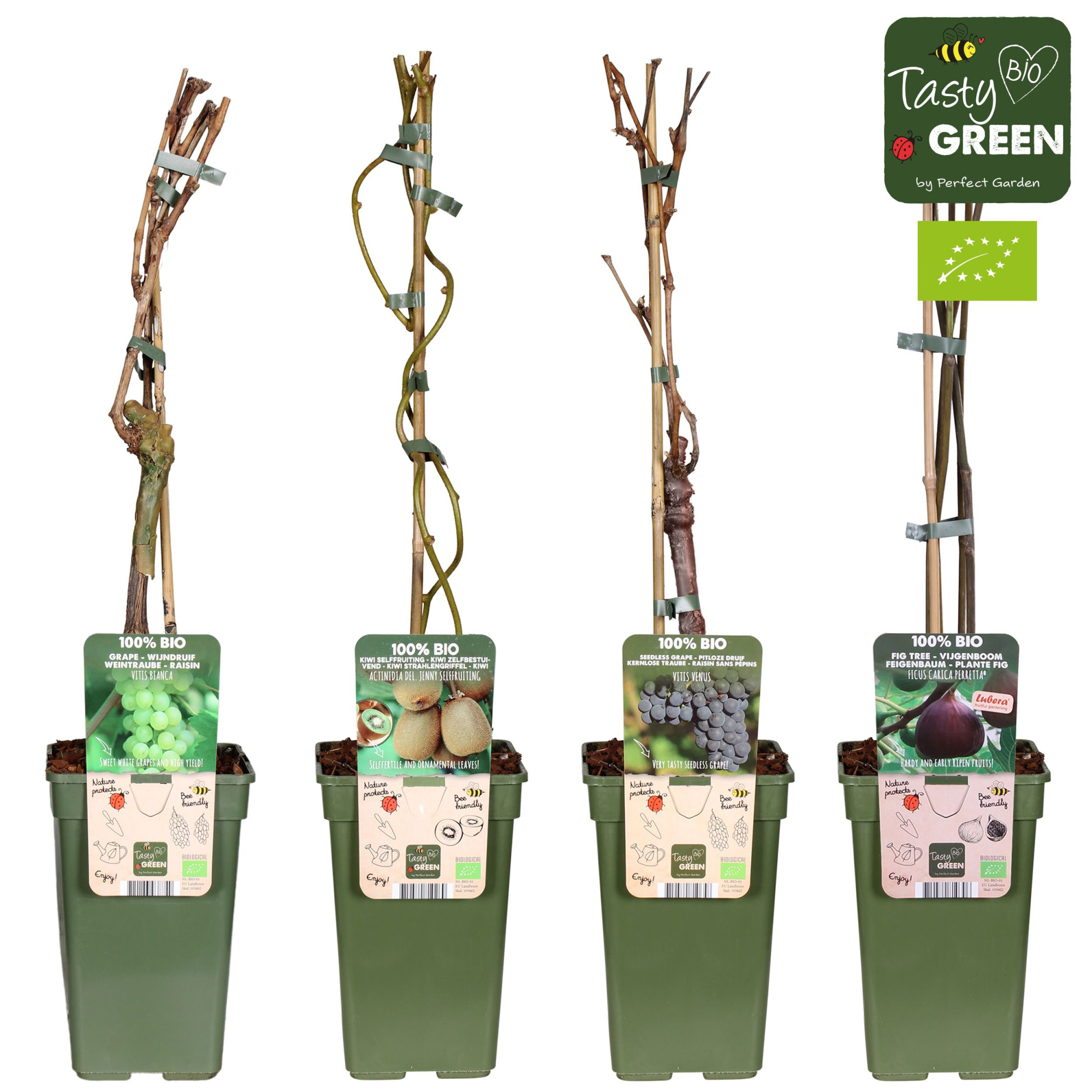 Fruit mix tray bio klimfruit P19, D 19